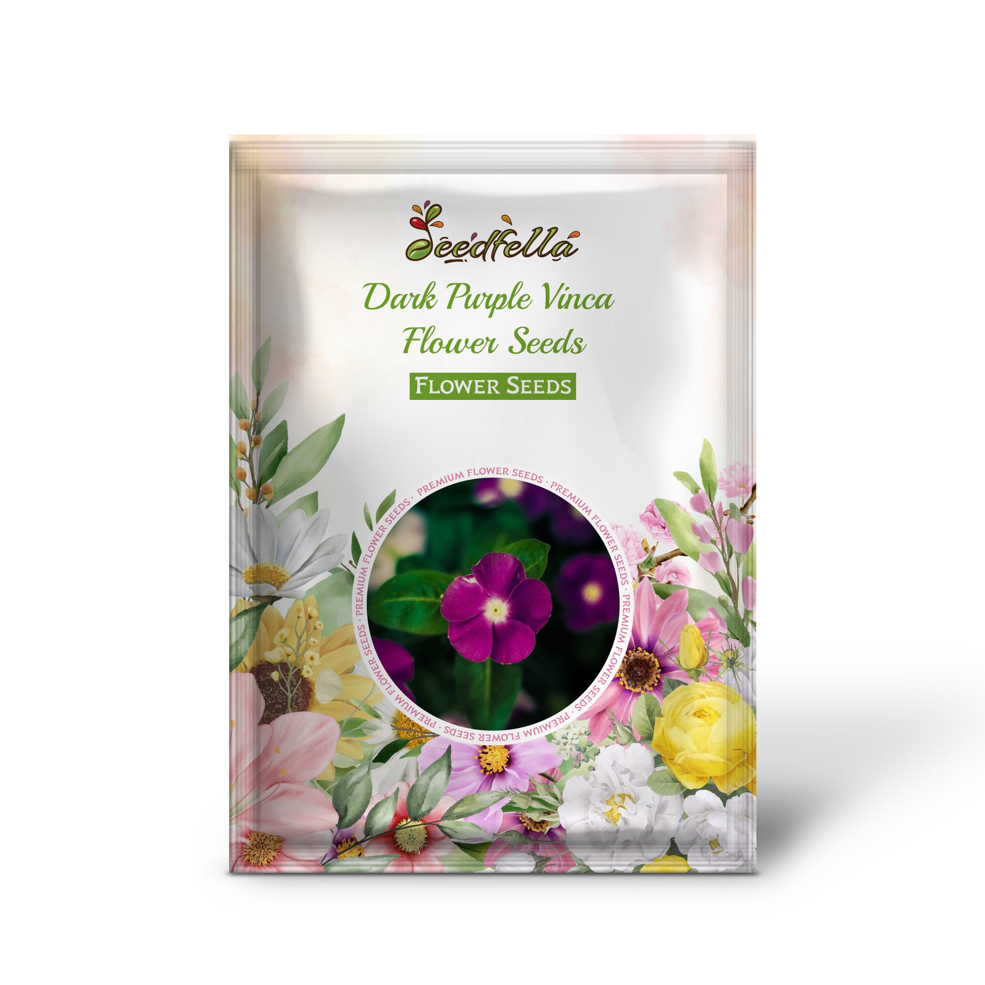 Elegant Dark Purple Vinca Periwinkle Blooms for Garden Decoration