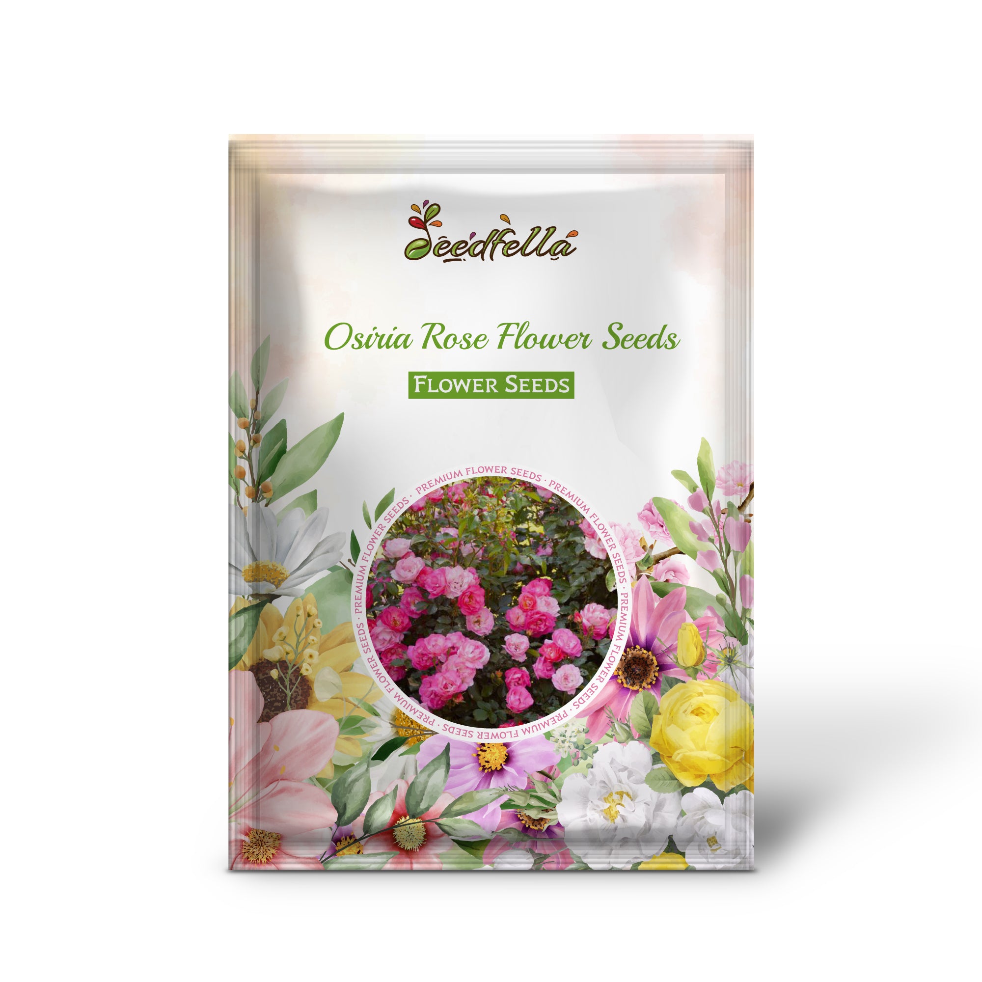 Elegant Light Pink Osiria Rose Blooms for Garden Decoration