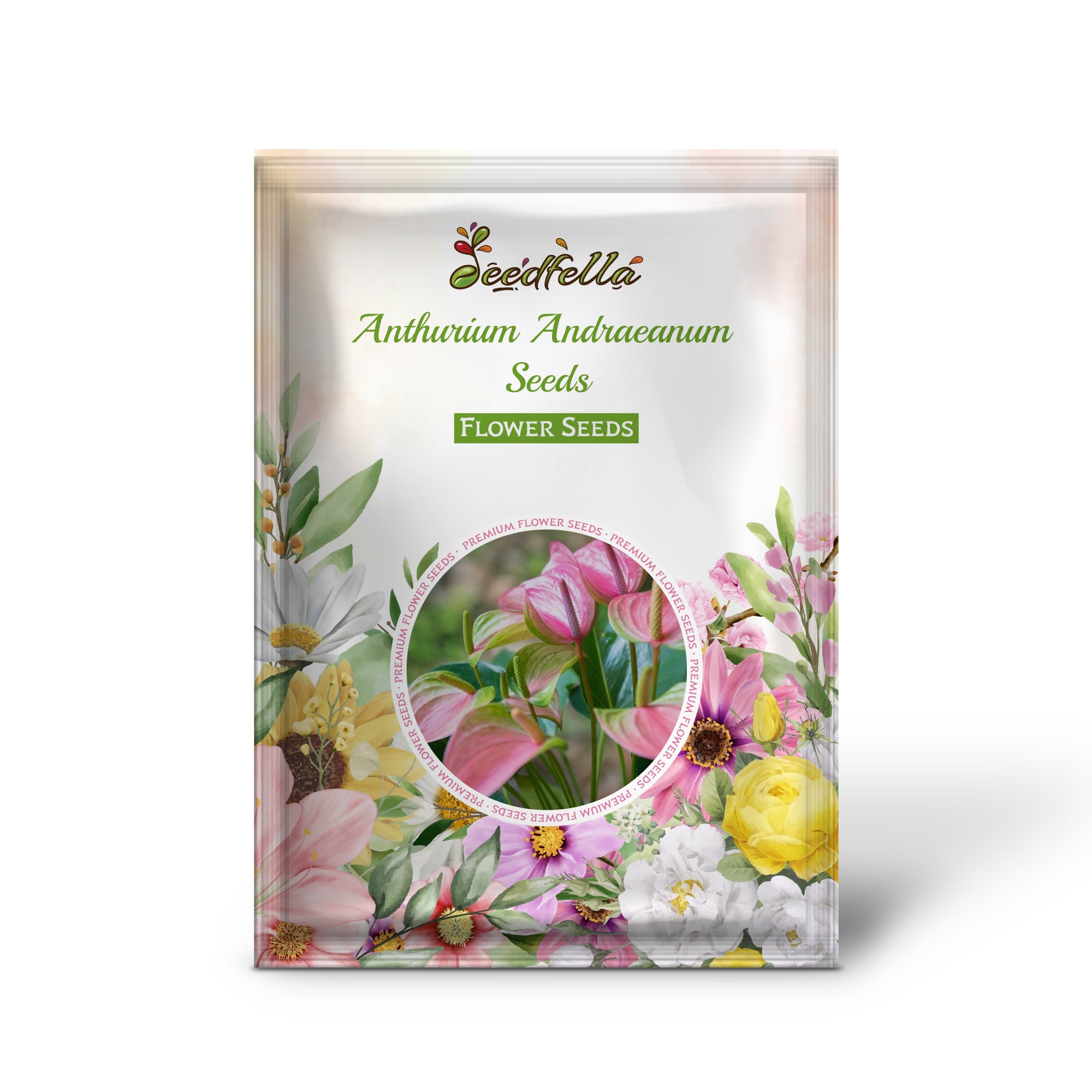 Elegant Pale Pink Anthurium Andraeanum Blooms for Garden Decoration