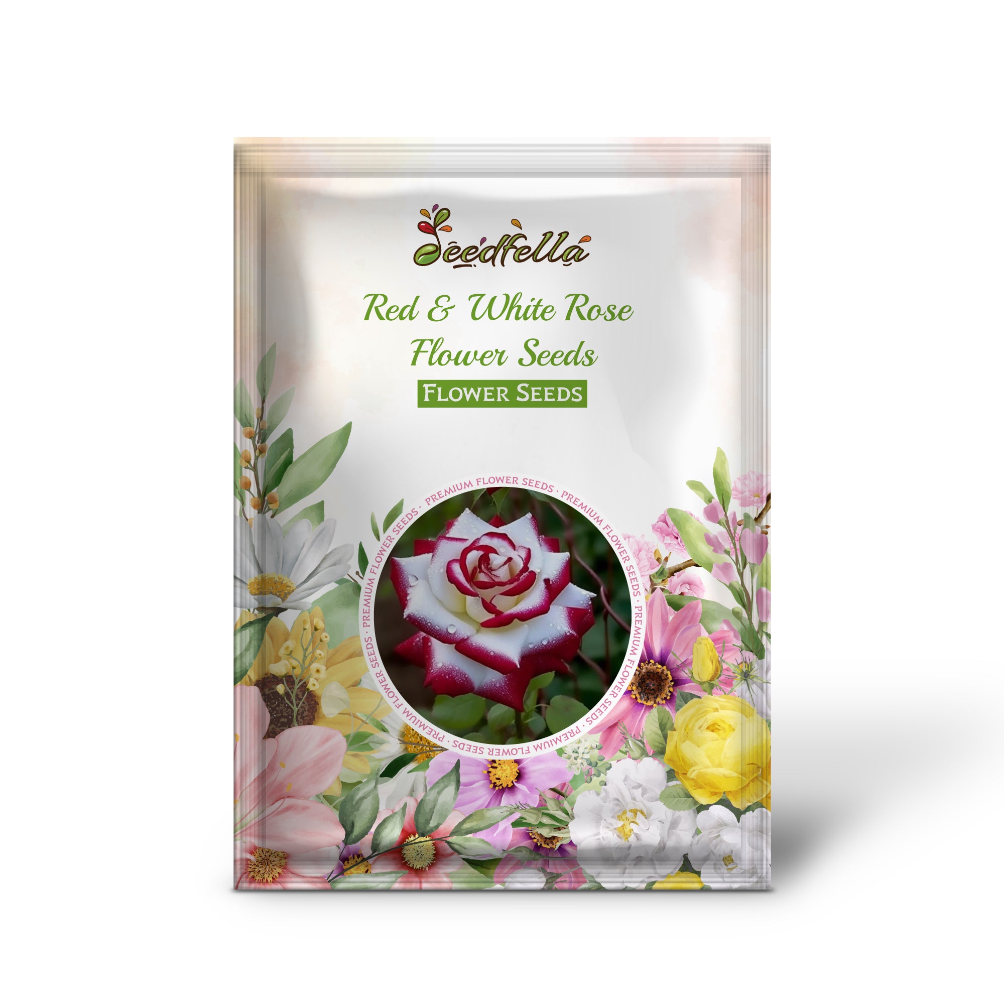 Elegant Red & White Rose Blooms for Garden Decoration