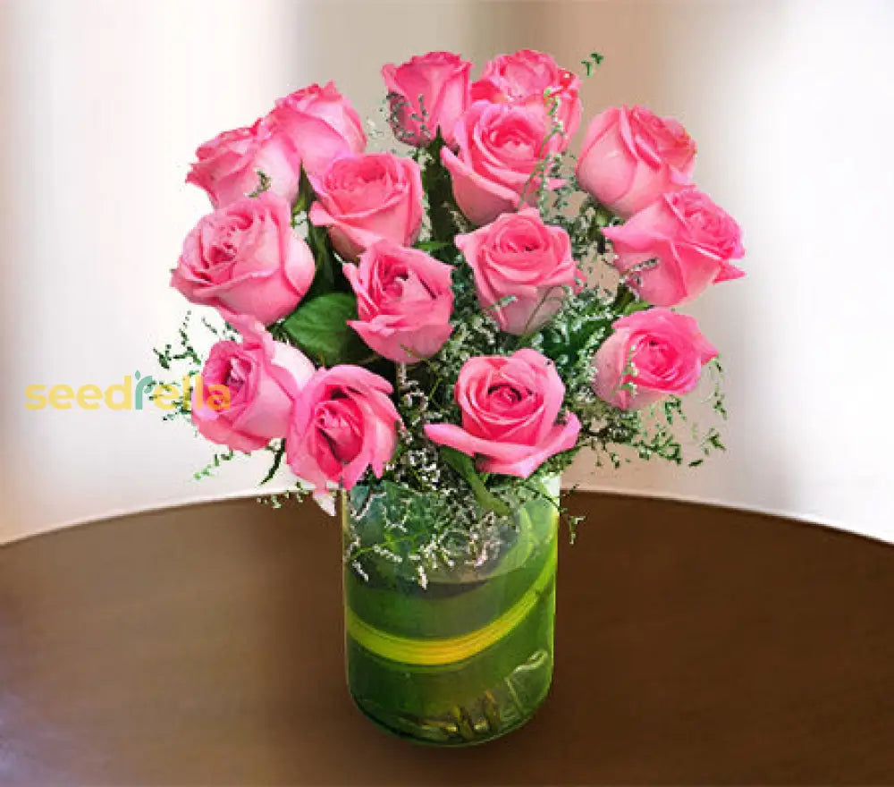 Elegant Rose Flower Seeds For Garden Planting