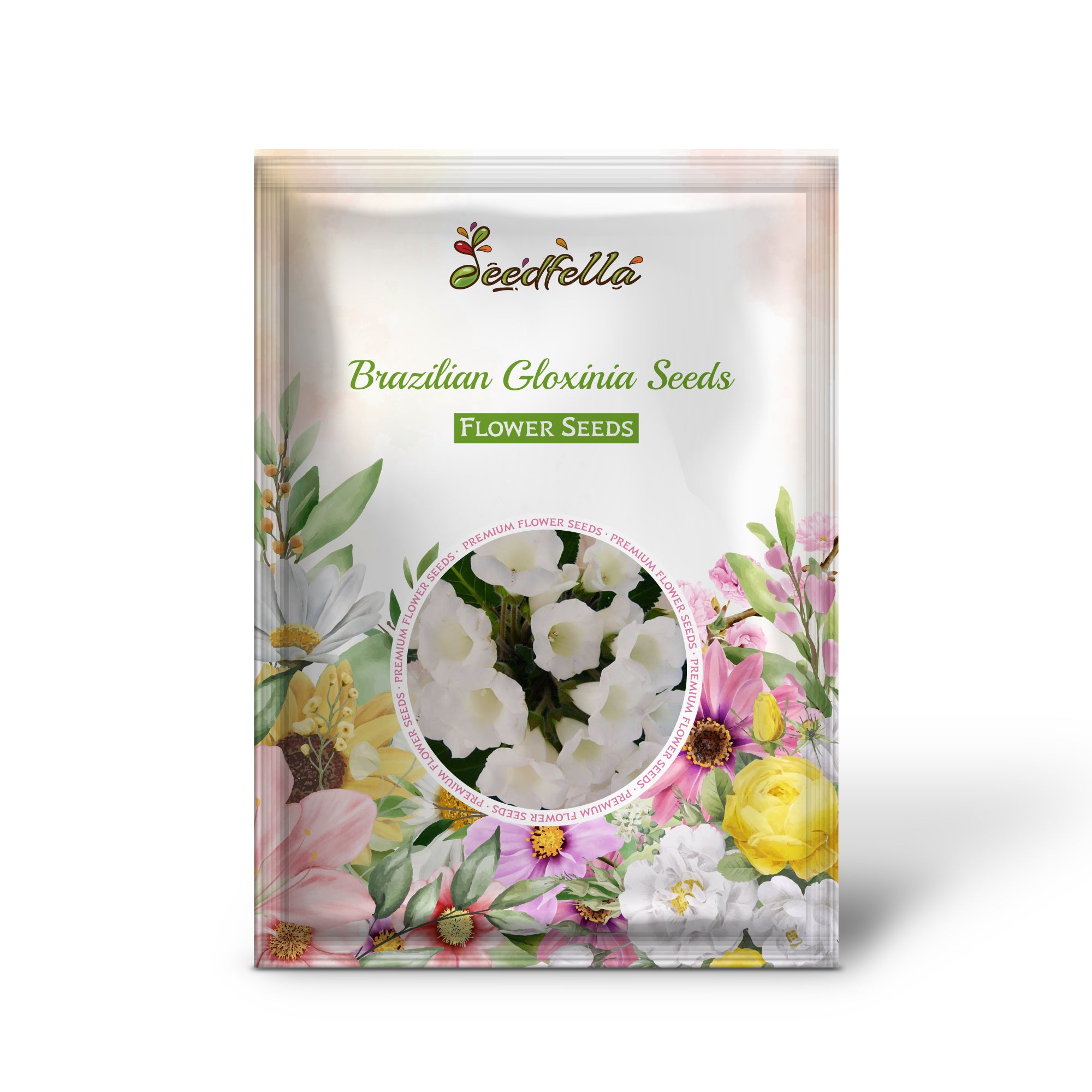 Elegant White Gloxinia Blooms for Garden Decoration