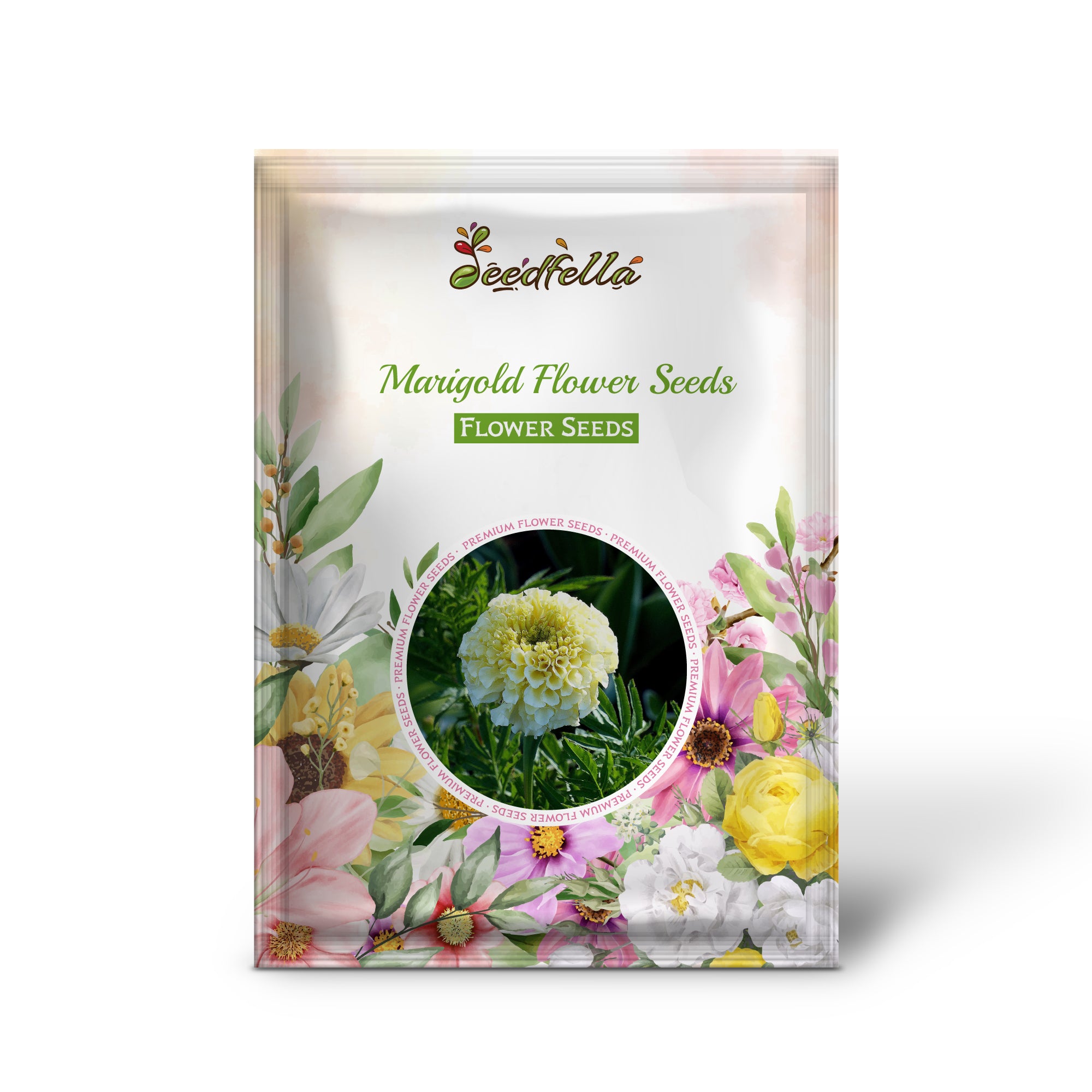 Elegant White Marigold Blooms for Garden Borders and Pots