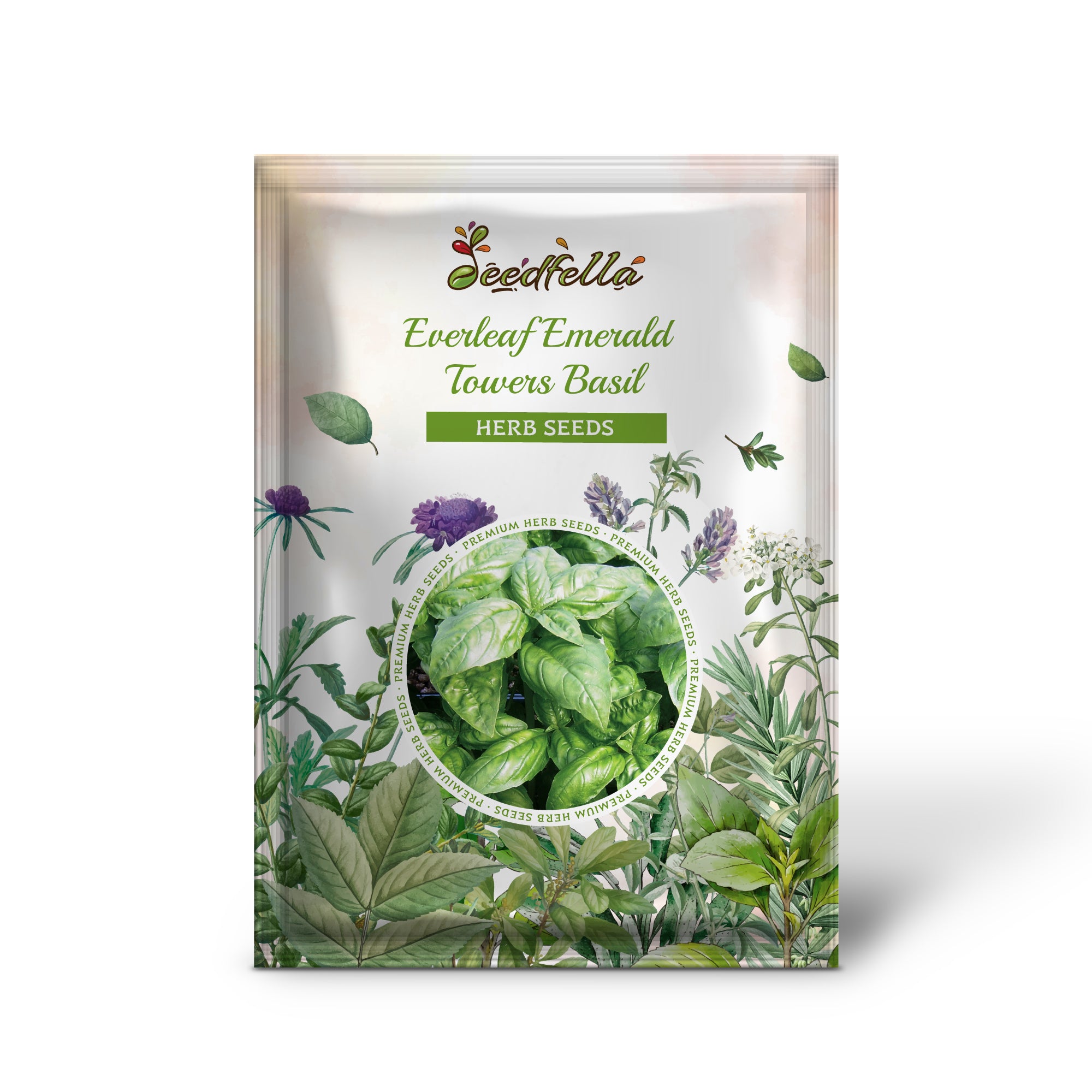 Columnar Emerald Towers Basil grown from seeds