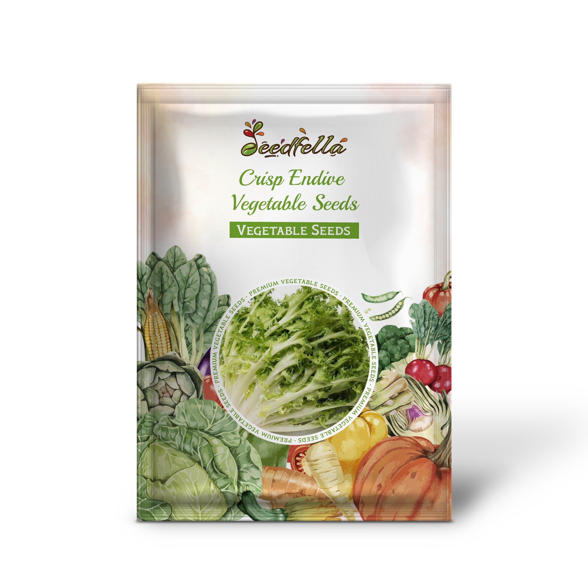 Premium endive seeds for home gardening