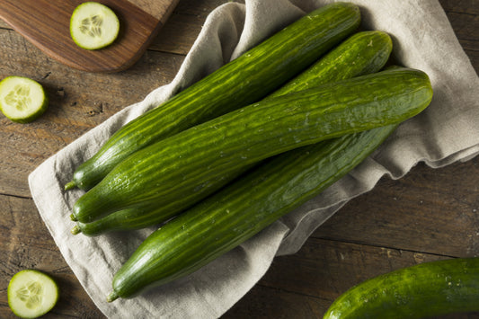 English Cucumber (Cucumis sativus ‘Burpless’) seeds for planting