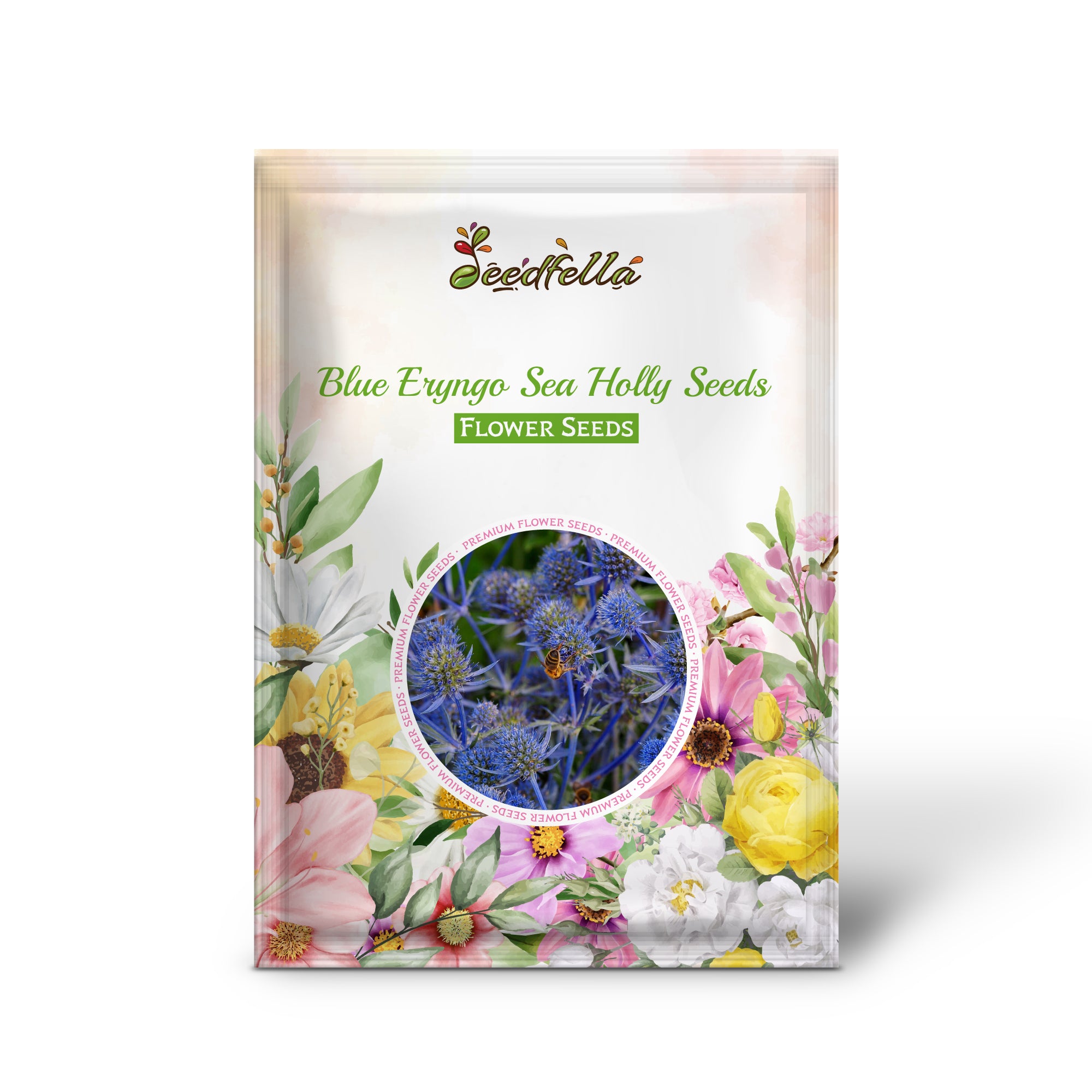 Blue Eryngo Sea Holly seeds germinating seedlings