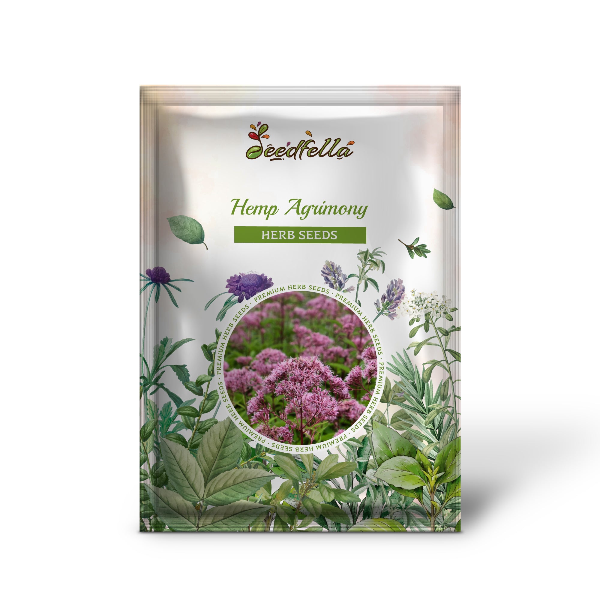 Close-up of non-GMO Hemp Agrimony seeds