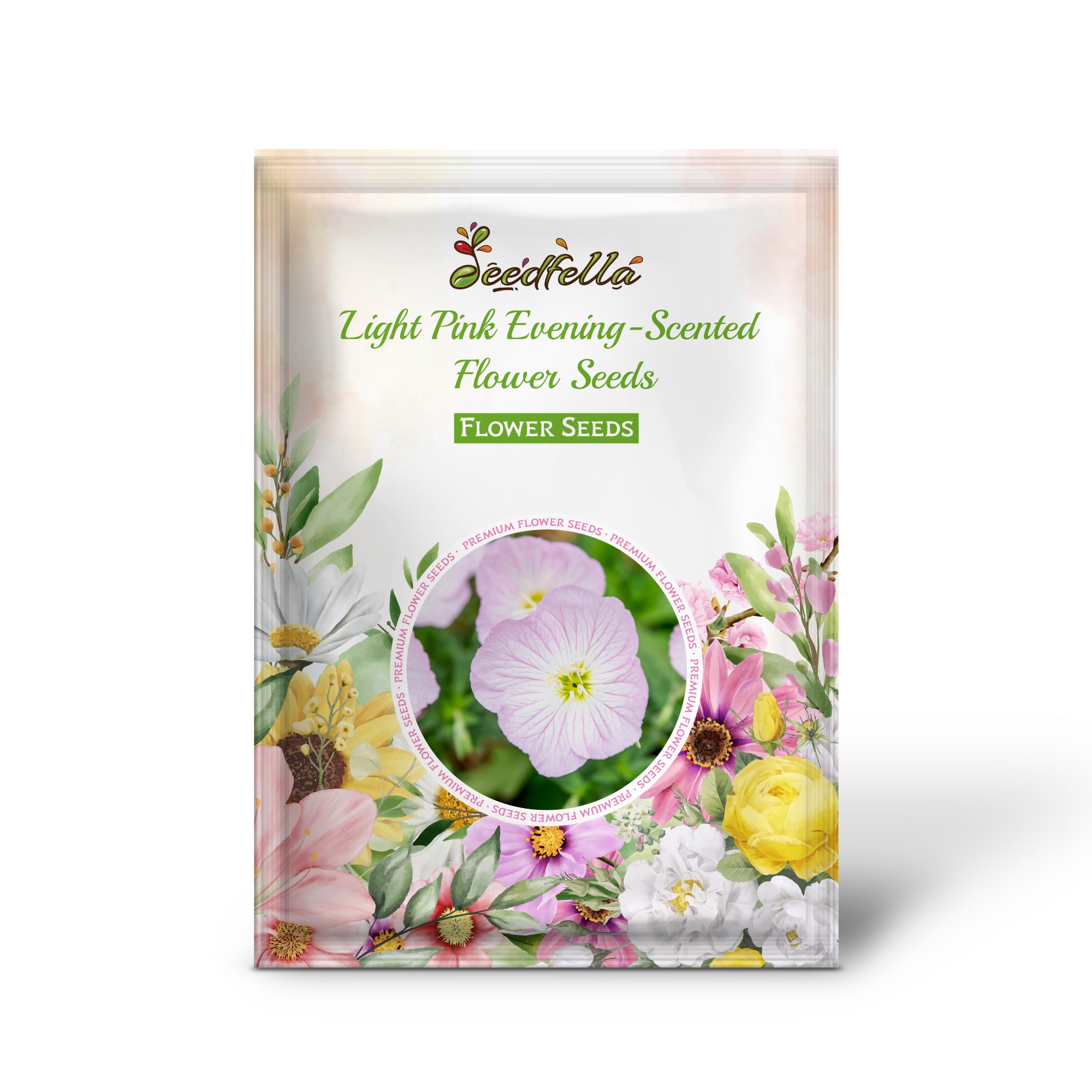 Evening-Scented Light Pink Blooms in Garden