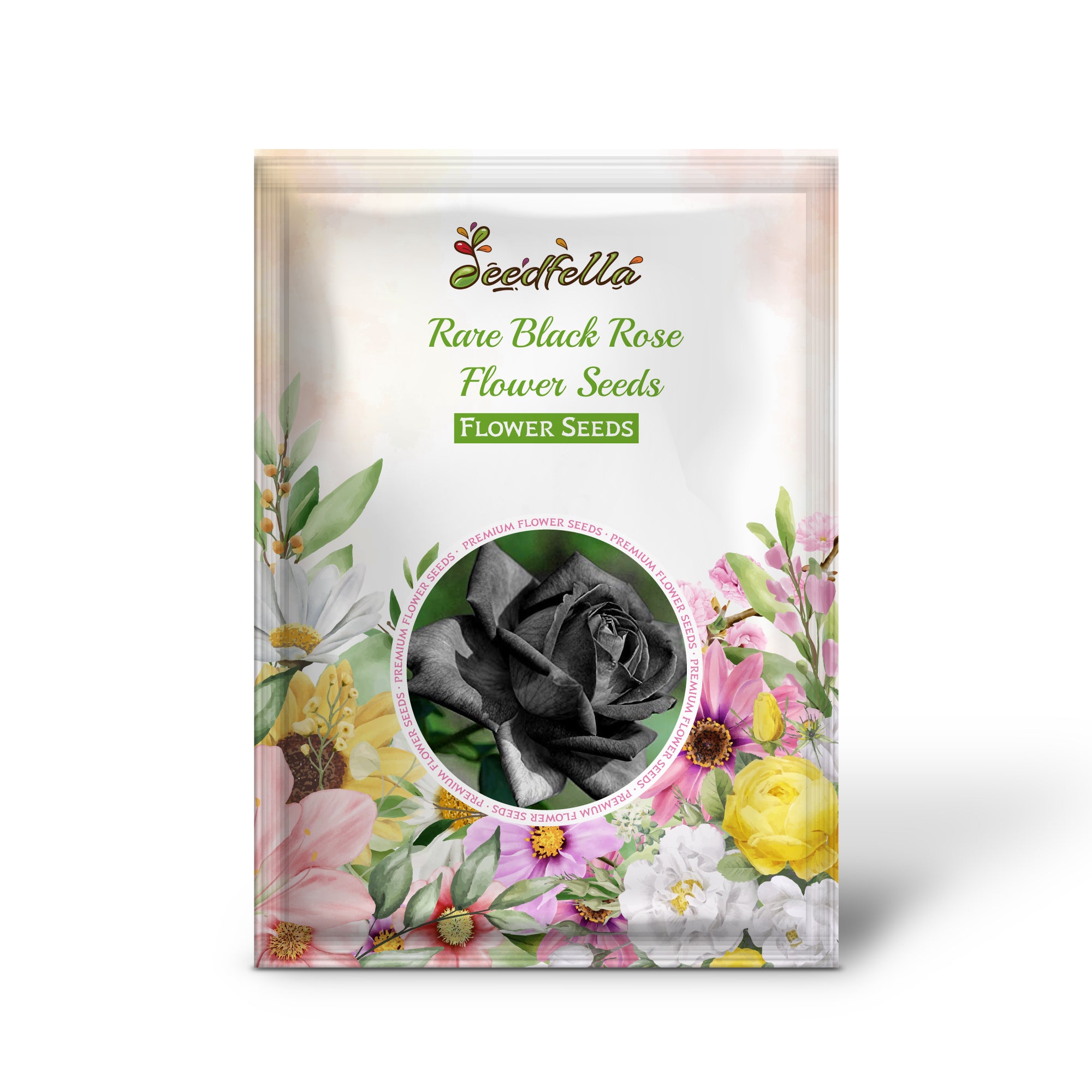 Exotic Black Rose Blooms for Garden Decoration