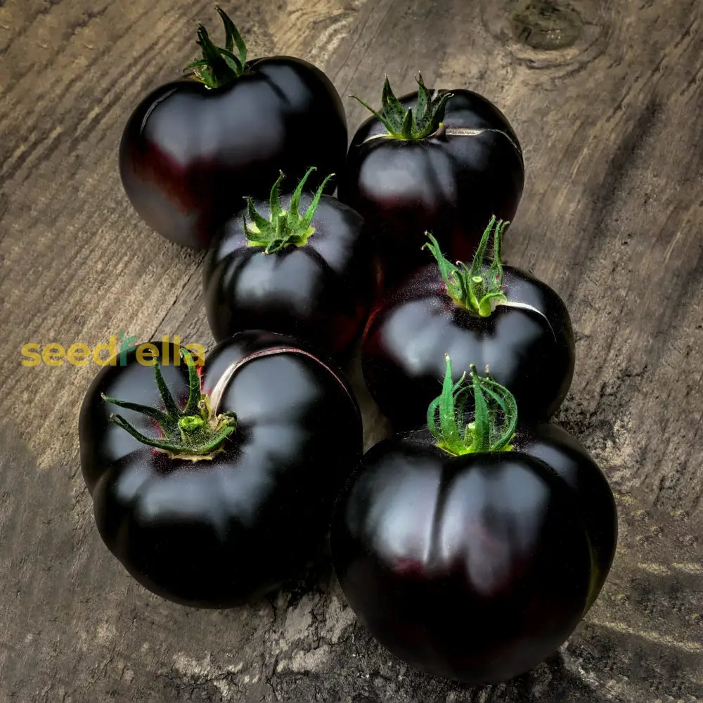 Exotic Black Tomato Seeds For Unique And Delicious Planting