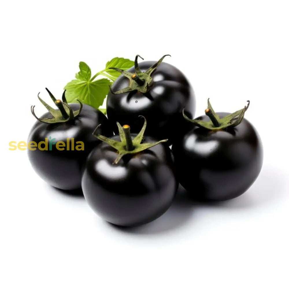 Exotic Black Tomato Seeds For Unique And Delicious Planting