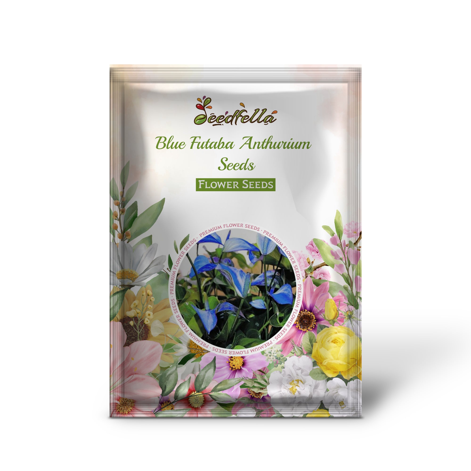 Exotic Blue Anthurium Blooms Indoors