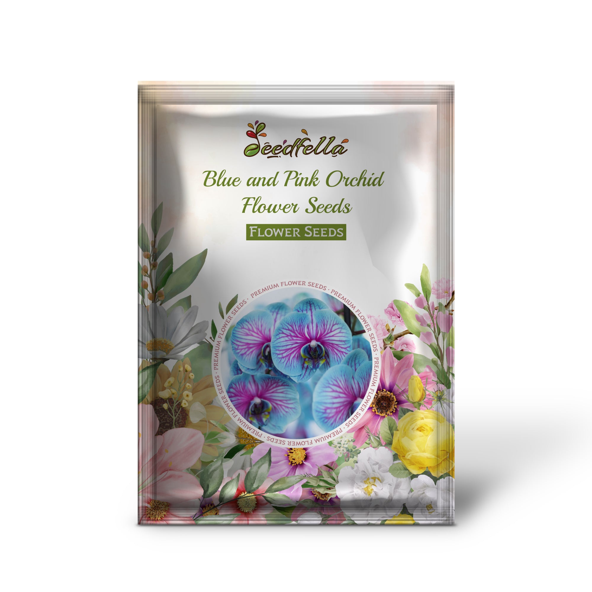 Exotic Blue and Pink Orchid Flowers in Garden