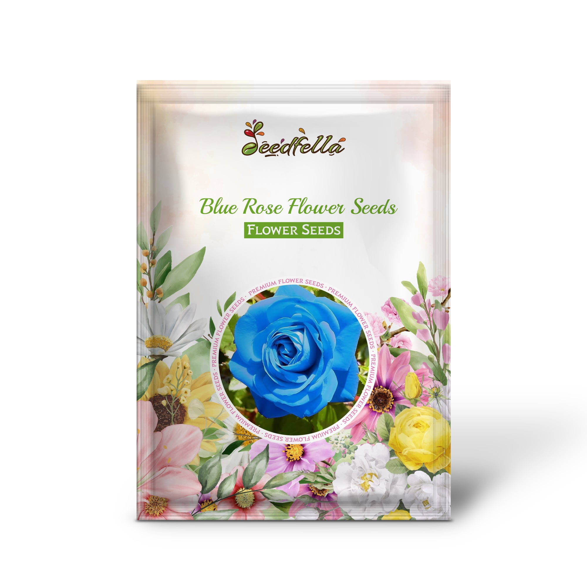Exotic Blue Rose Blooms for Garden Decoration