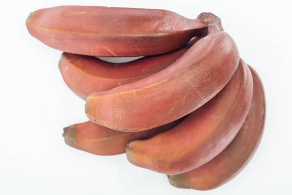 Exotic brown banana plant seeds for indoor and outdoor gardening