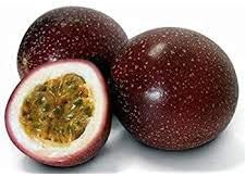 Exotic brown passion flower seeds Passiflora incarnata variety