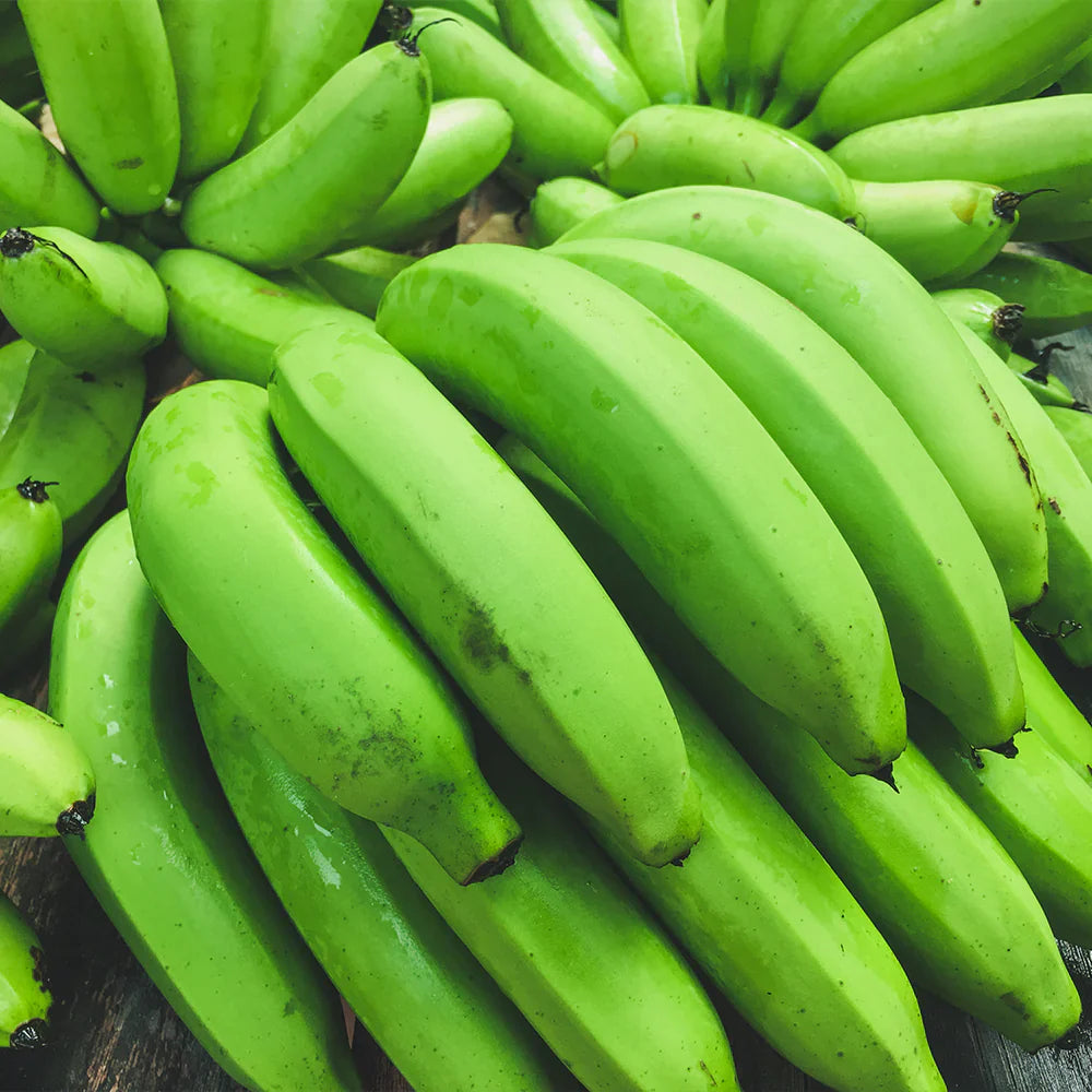 Exotic dark green banana seeds for tropical and indoor gardens