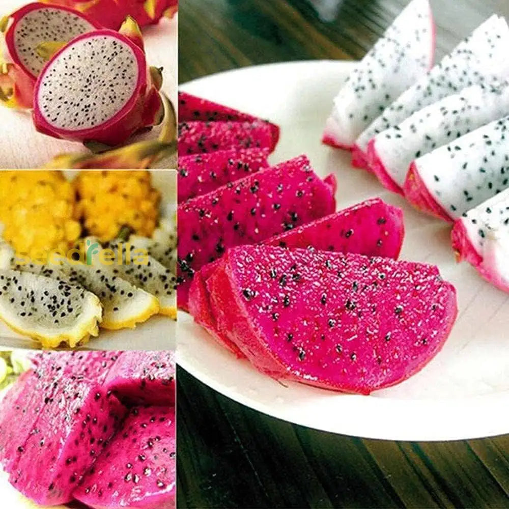 Exotic Mixed Pitaya Seeds for Tropical Gardening