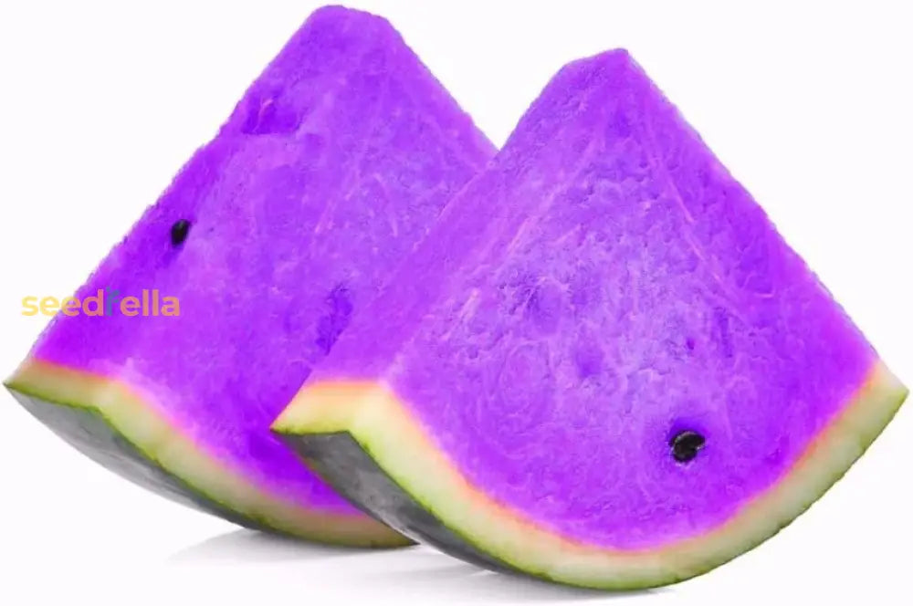 Exotic Violet Watermelon Seeds For Striking Garden Settings Fruit