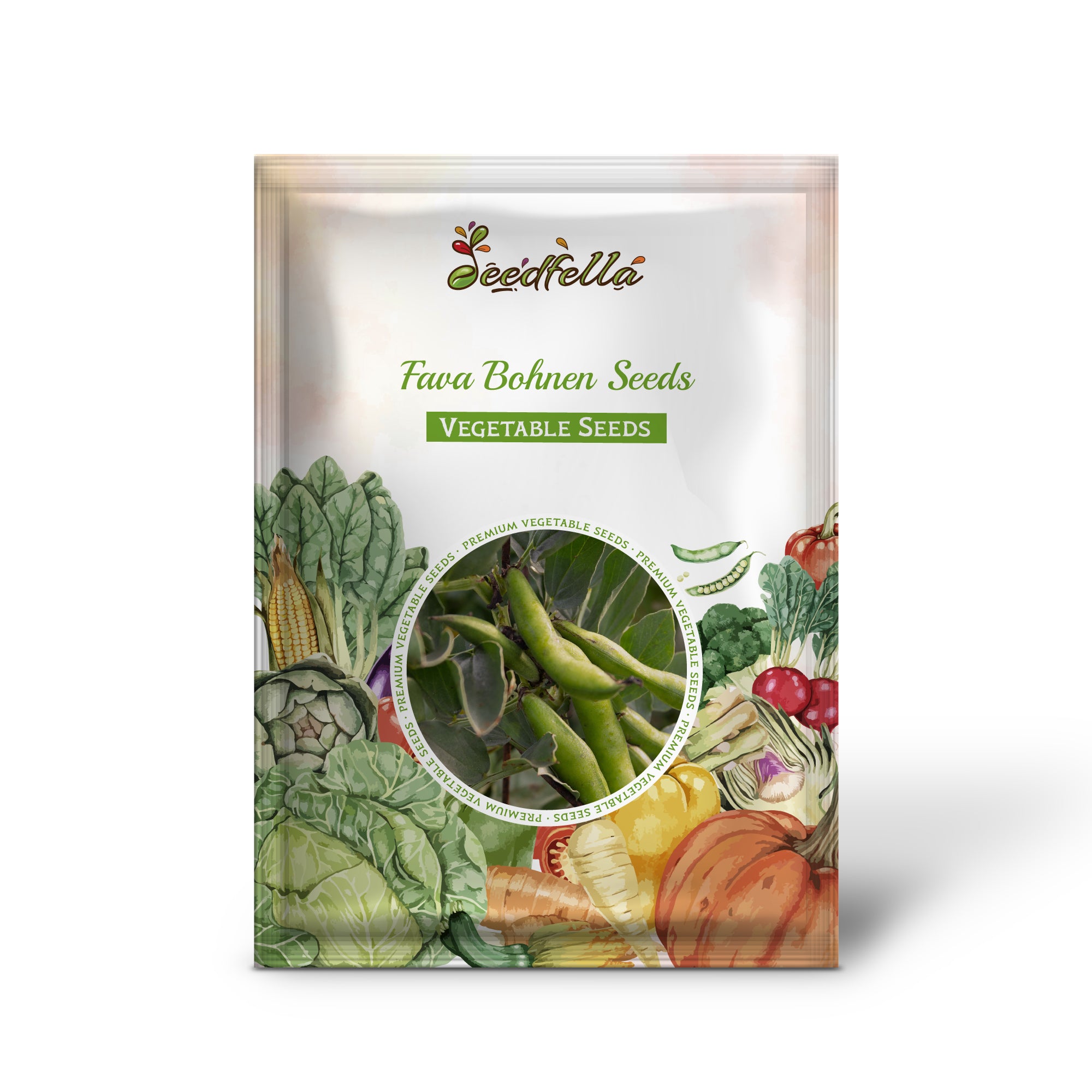 Fava Bohnen plant growing in garden