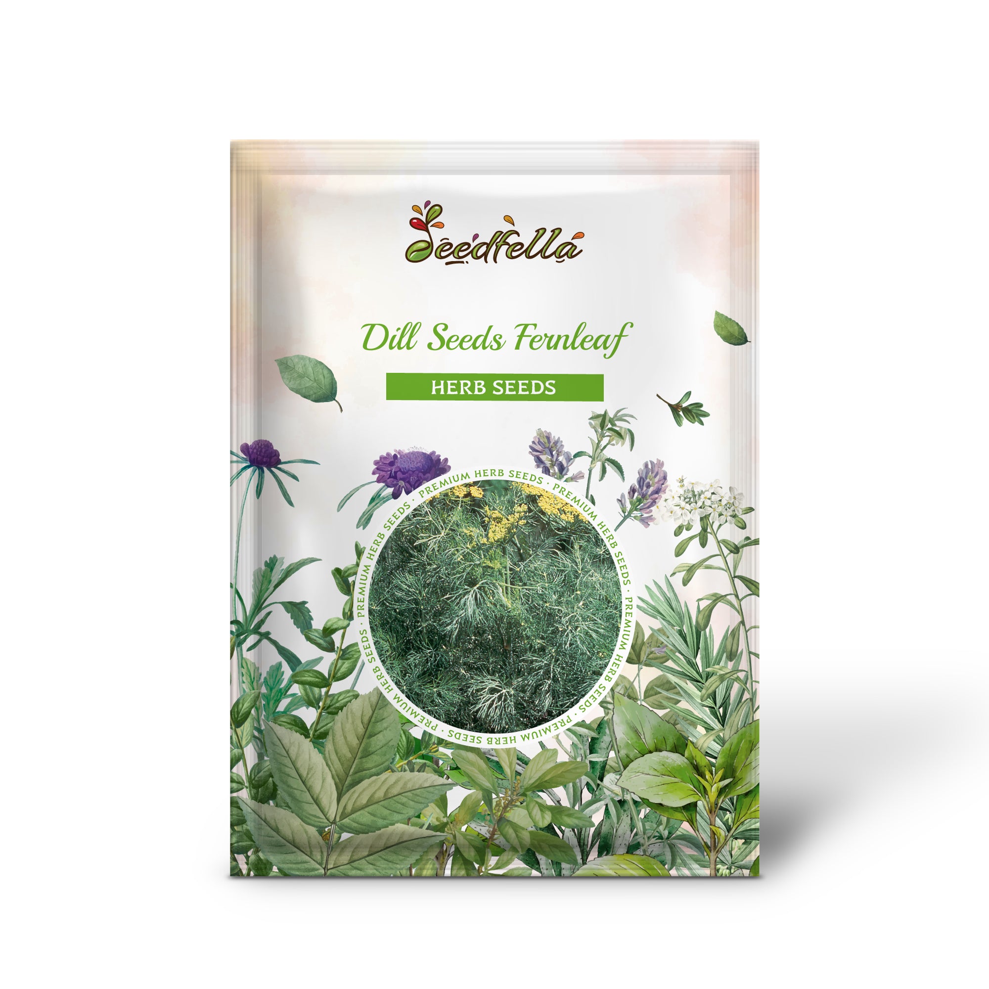 Non-GMO Fernleaf Dill seeds short leafy variety