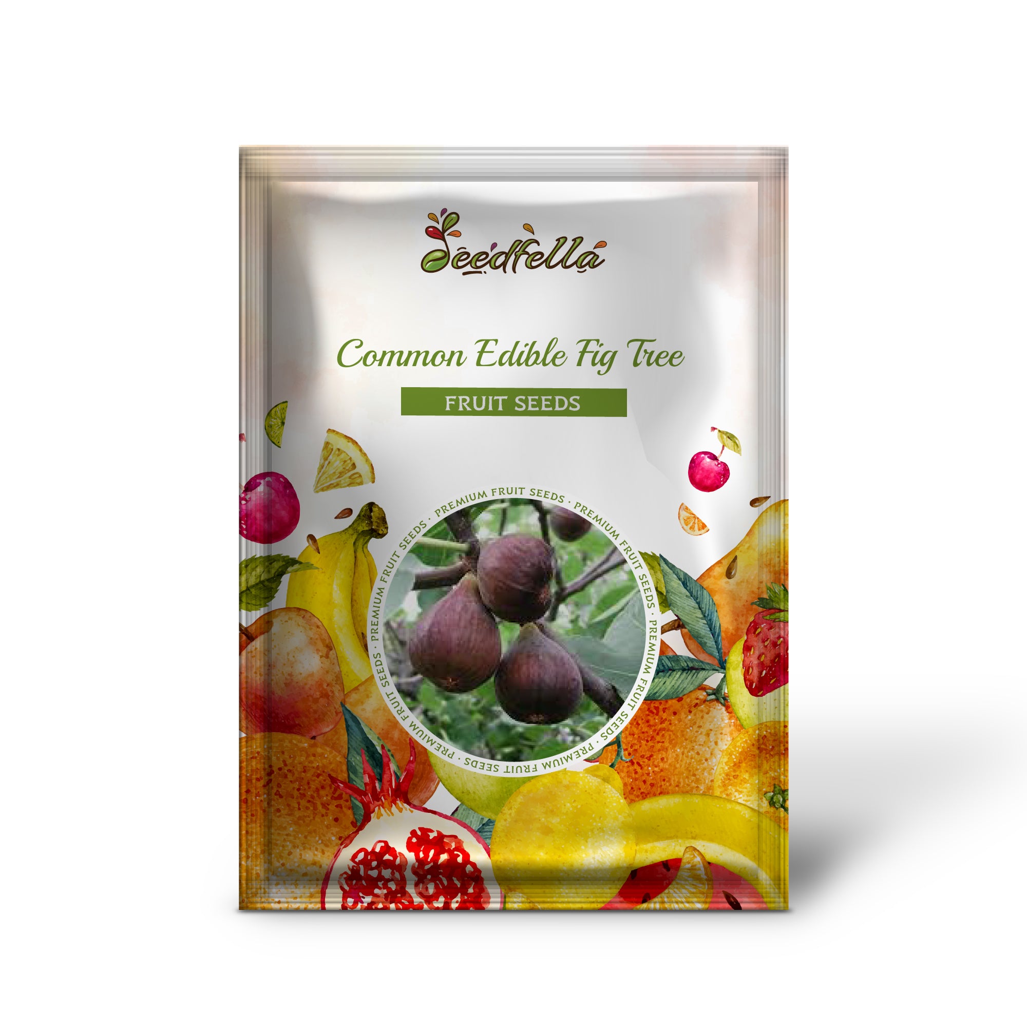 Ficus carica fig tree seeds purple-brown fruit pink flesh