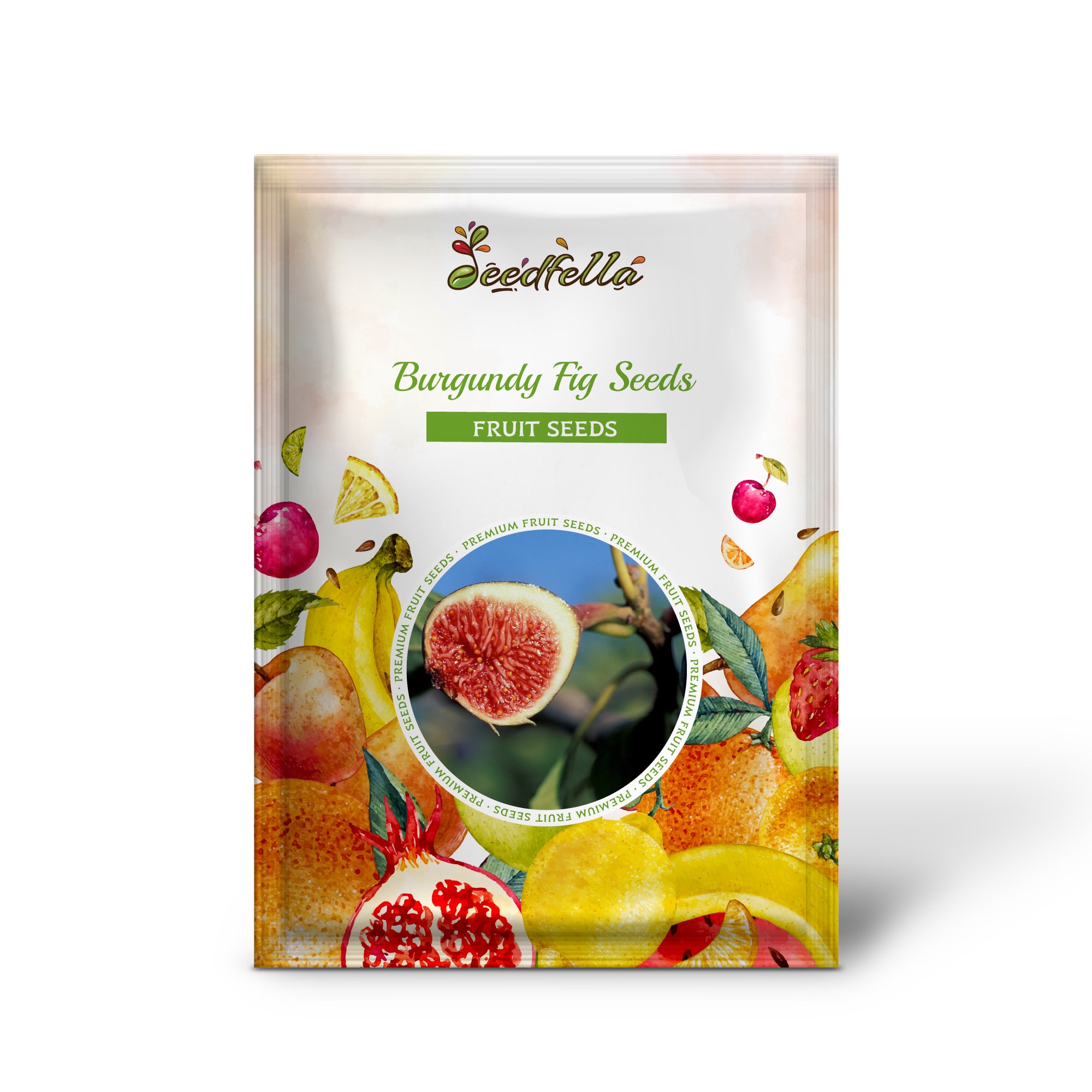 Fig Tree Seeds for Home Garden and Orchard Growth