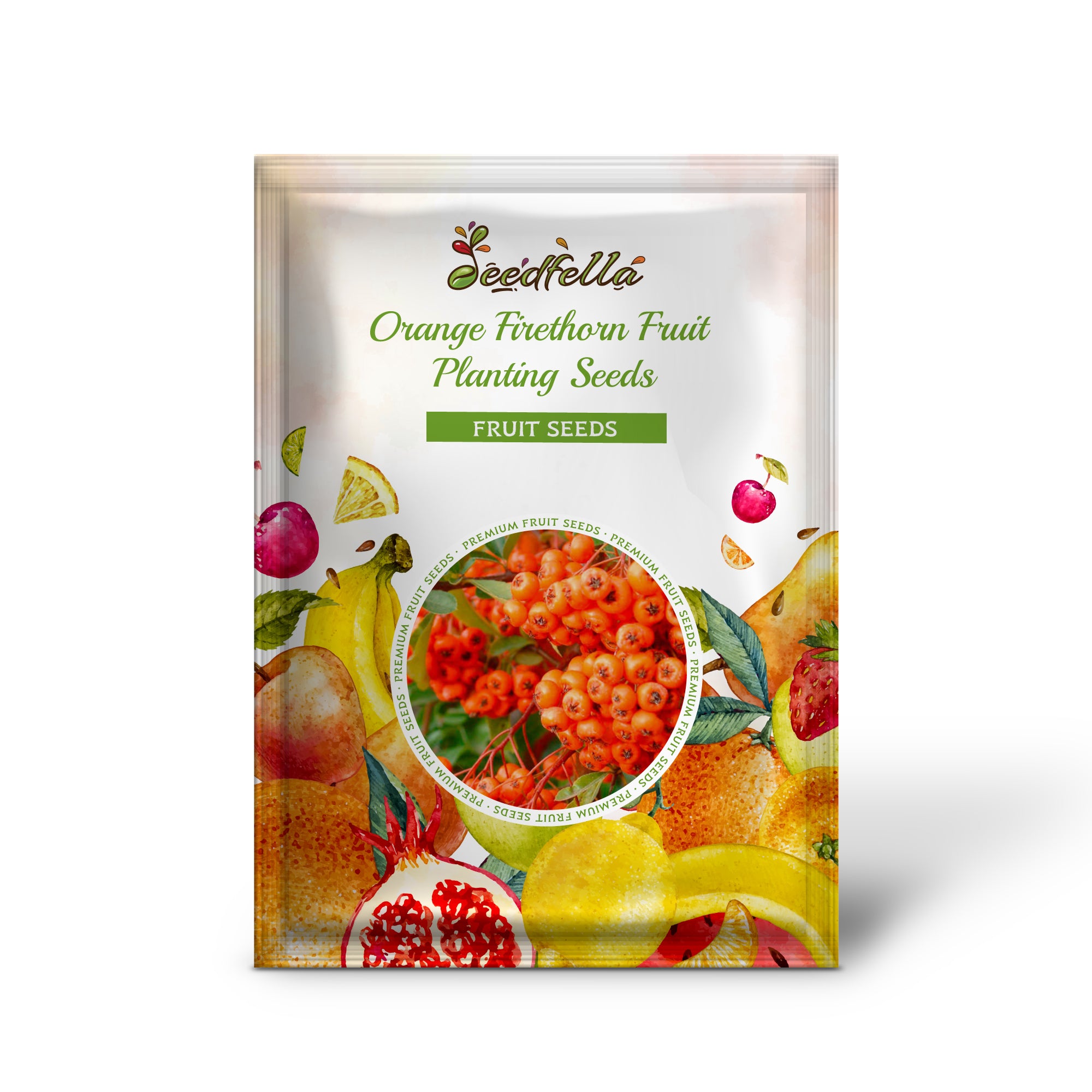 Firethorn Seedlings Growing in Garden Soil