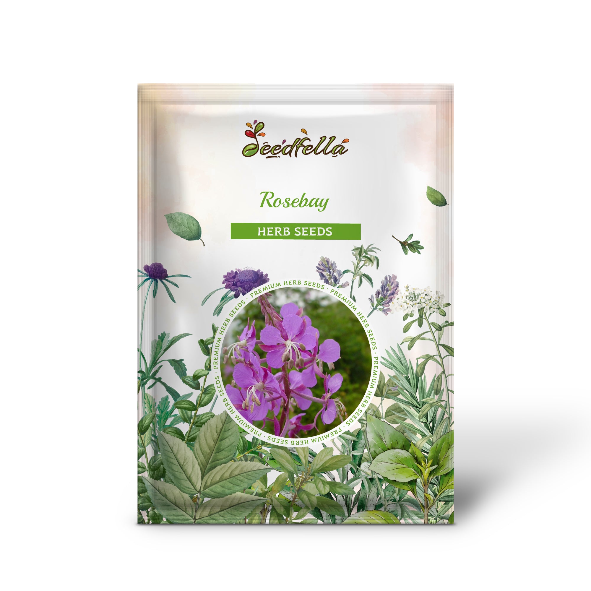 Premium Fireweed Rosebay Willowherb Seed Pack for Gardens