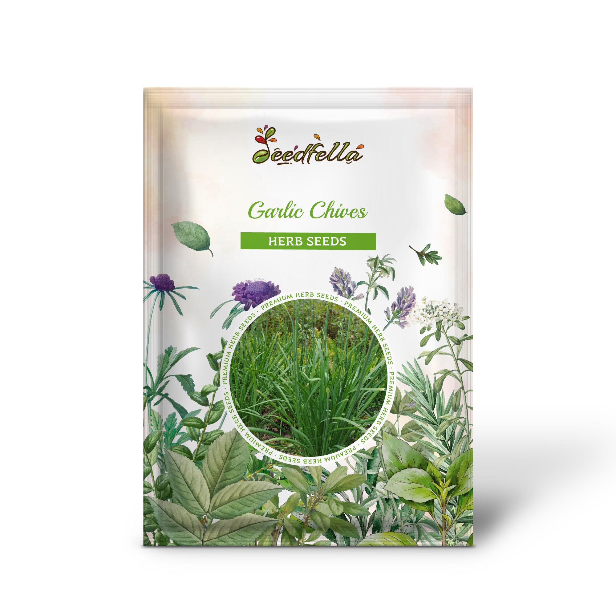 Non-GMO flat leaf Garlic Chives seeds for containers and beds