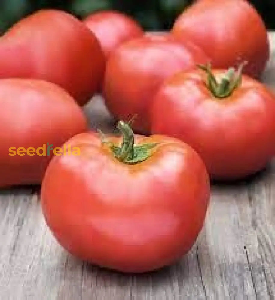 Flavorful Atkinson Tomato Planting Seeds - Vegetable Gardening Seeds