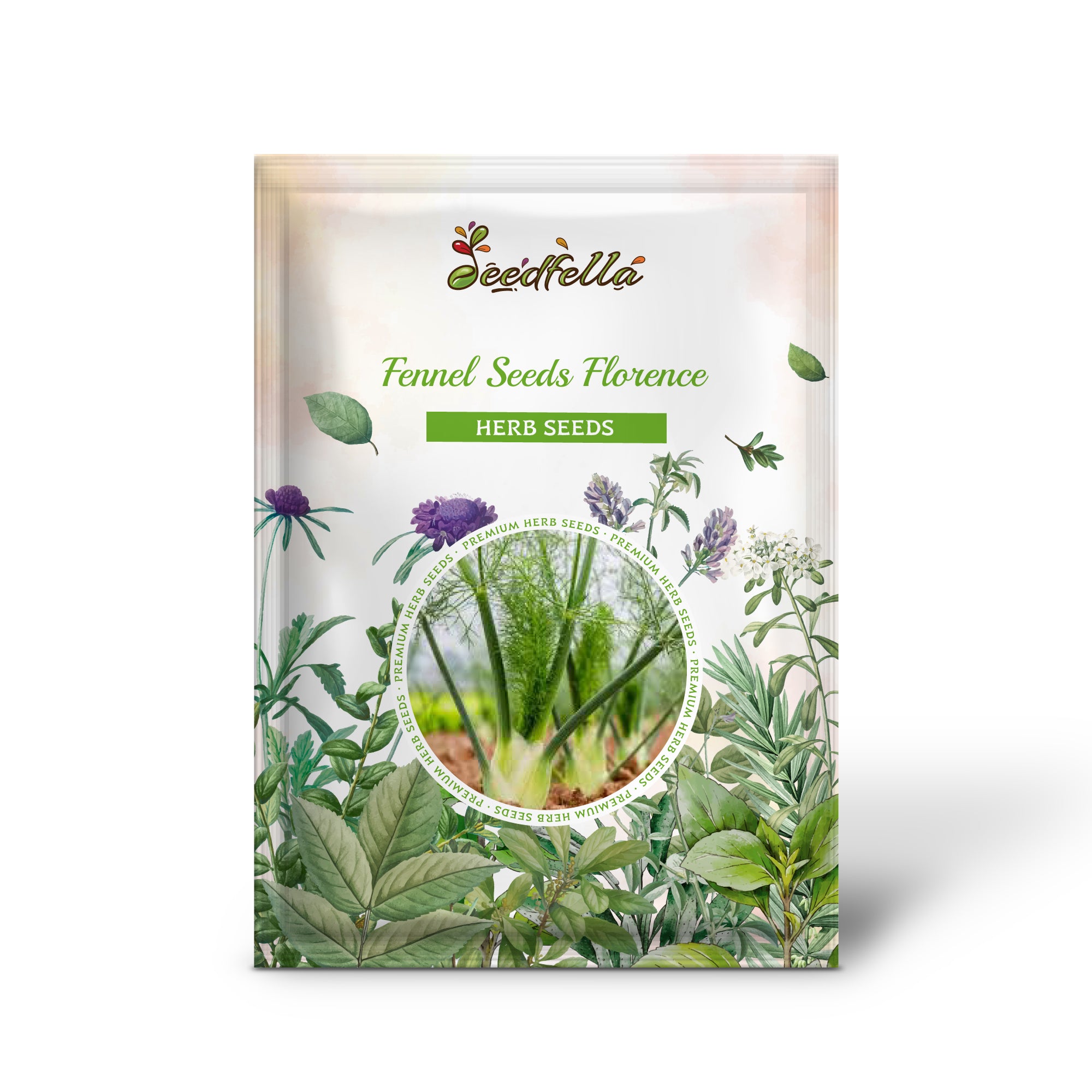 Non-GMO Florence Fennel seeds forming thick white bulbs