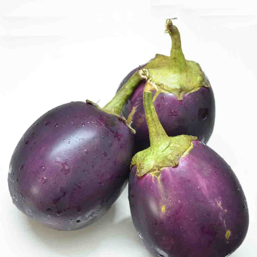 Flowering eggplant seeds with strong germination