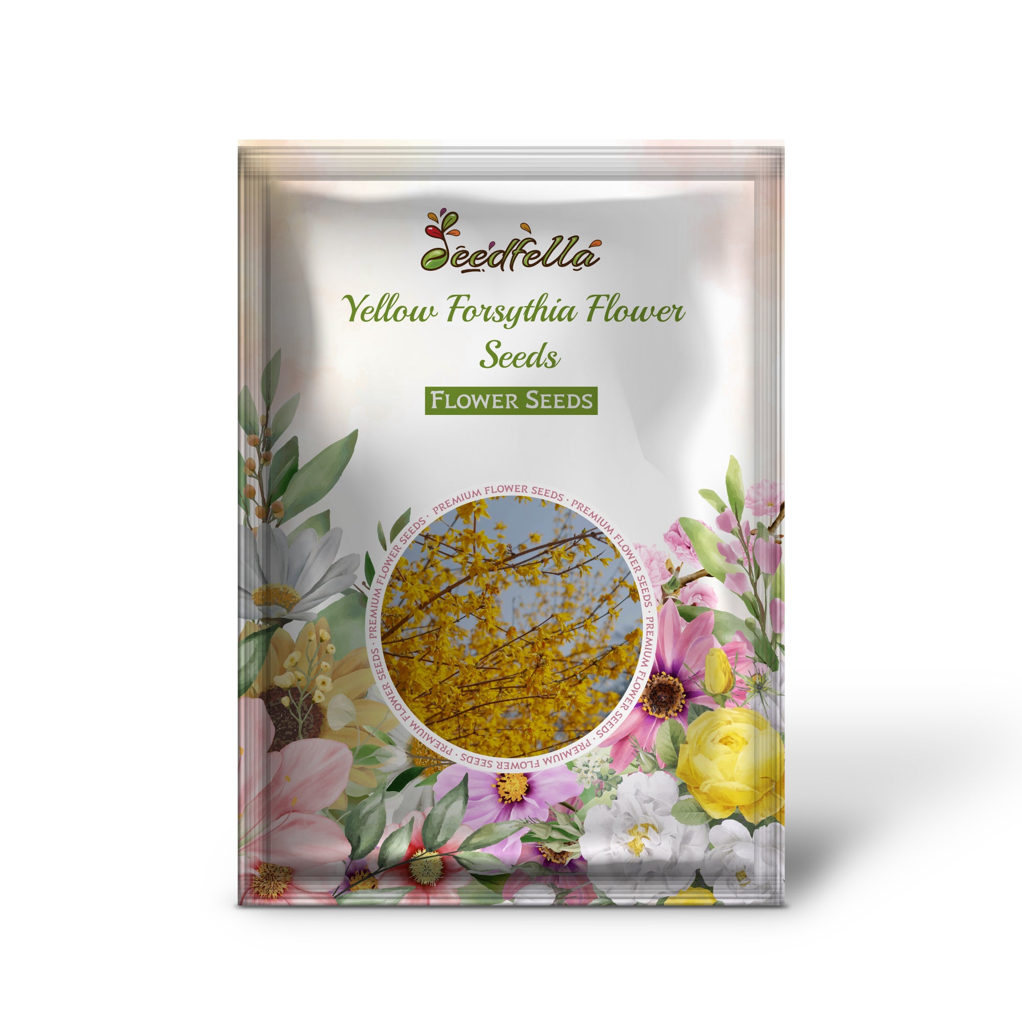 Non GMO Yellow Forsythia seeds for home gardening
