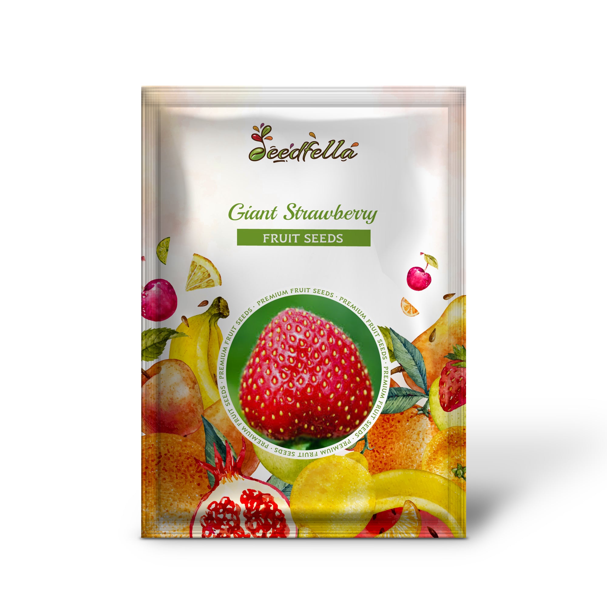 Fragaria spp. giant red strawberries