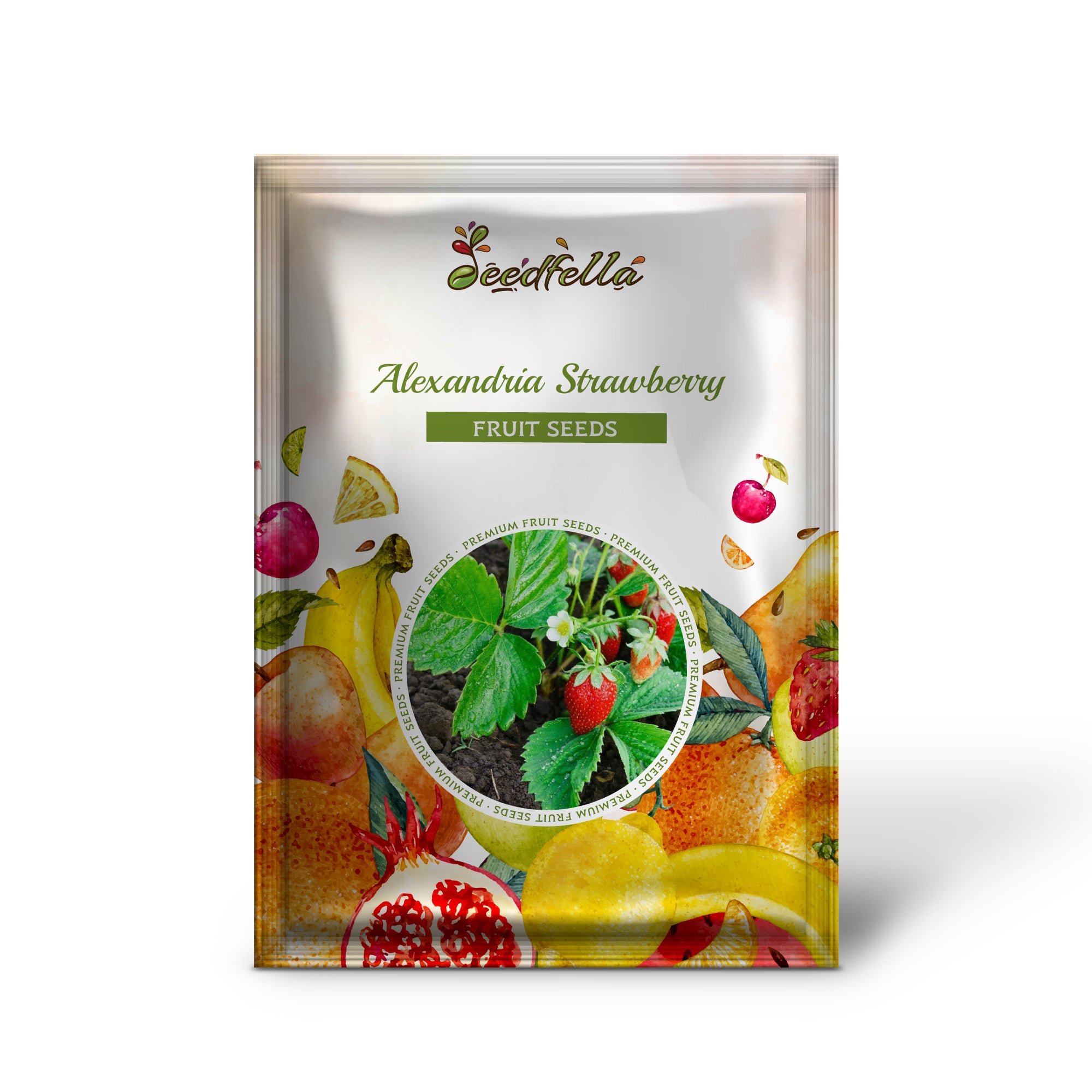 Fragaria vesca Alexandria strawberry seeds white flowers and red fruit