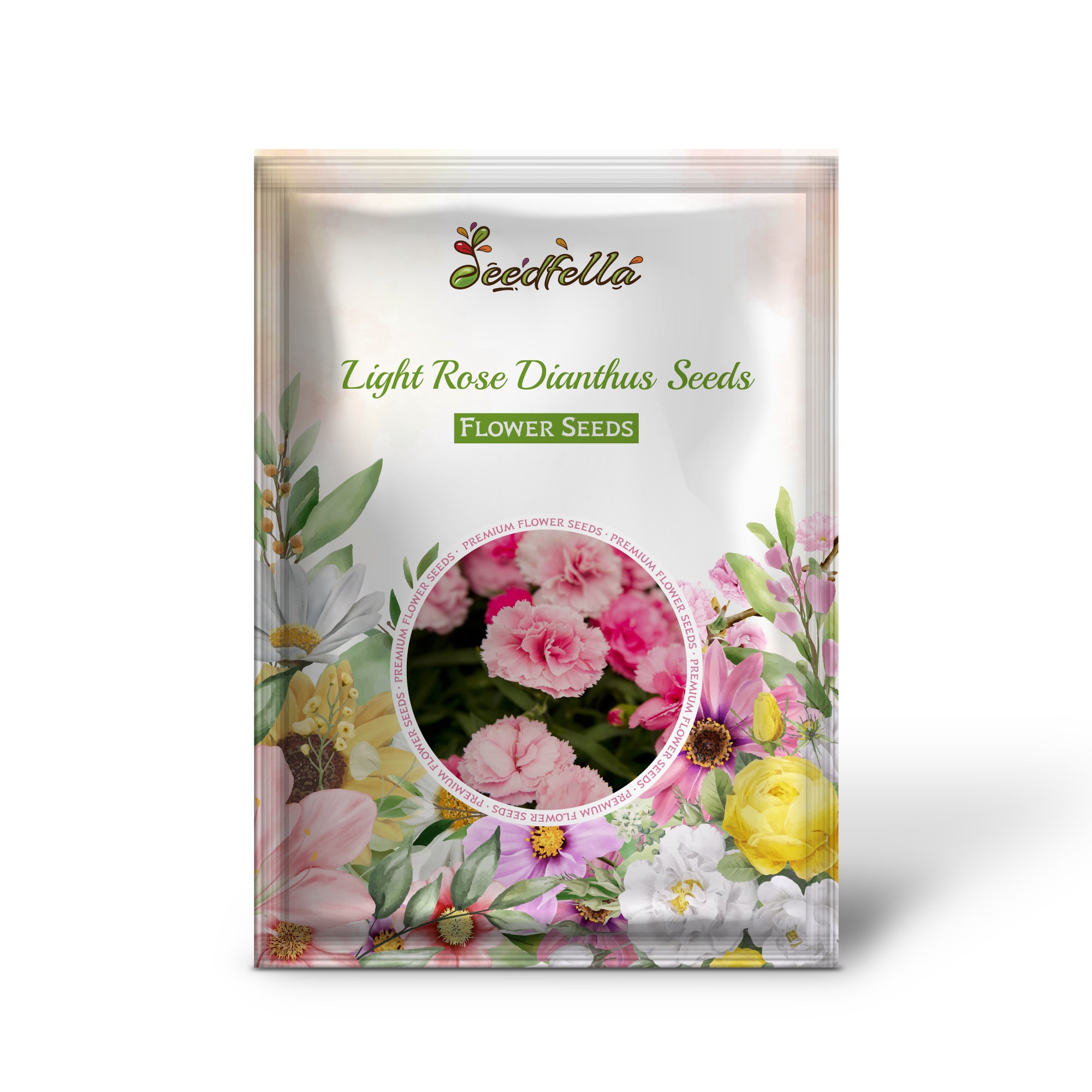 Dianthus Seeds for Garden Borders and Containers