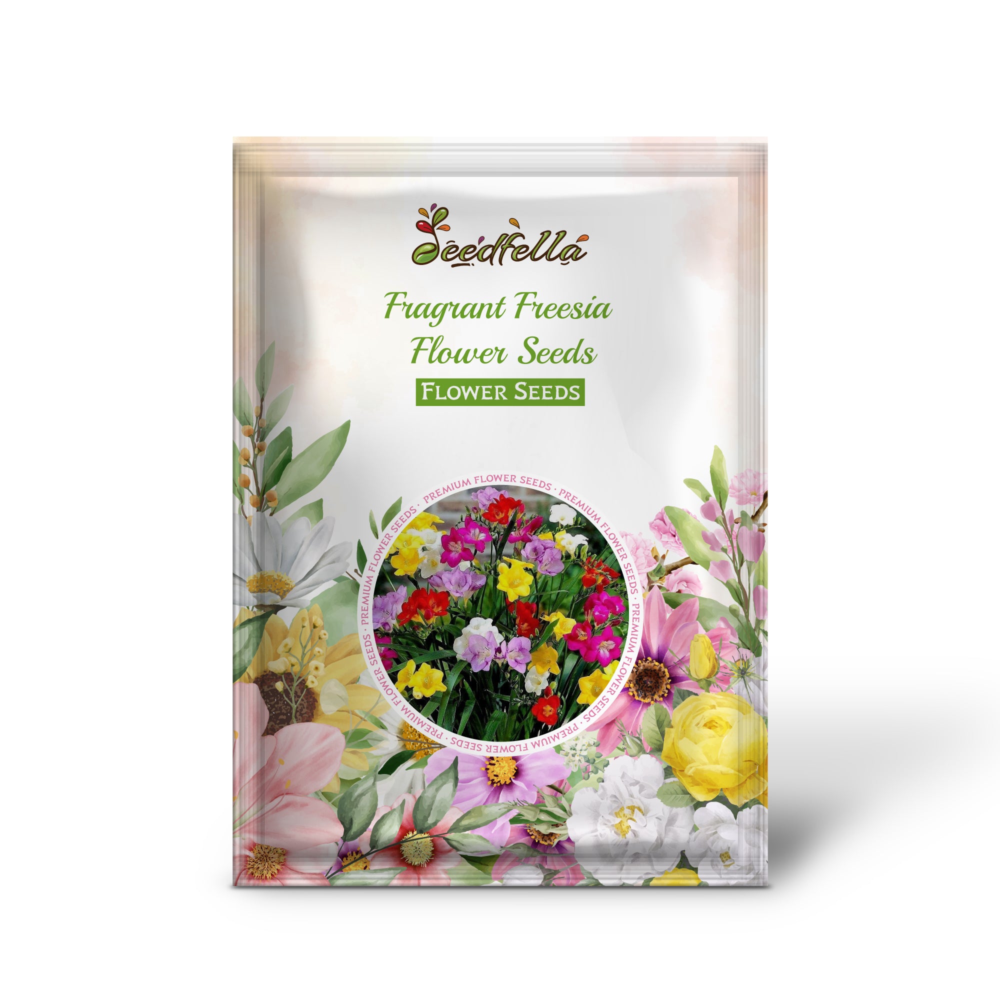 Freesia Flowers Blooming in Garden