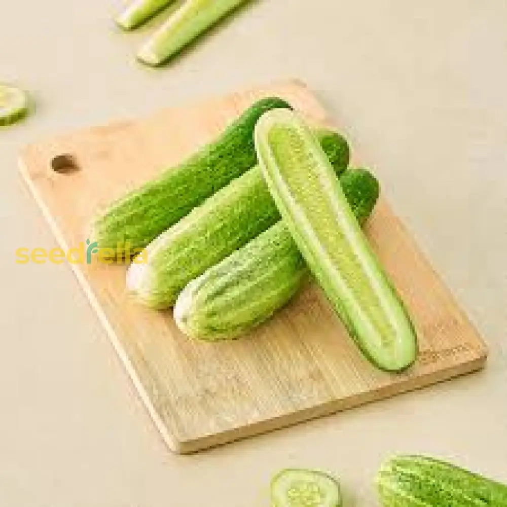 Fresh Cucumber Vegetable Seeds For Planting Seeds