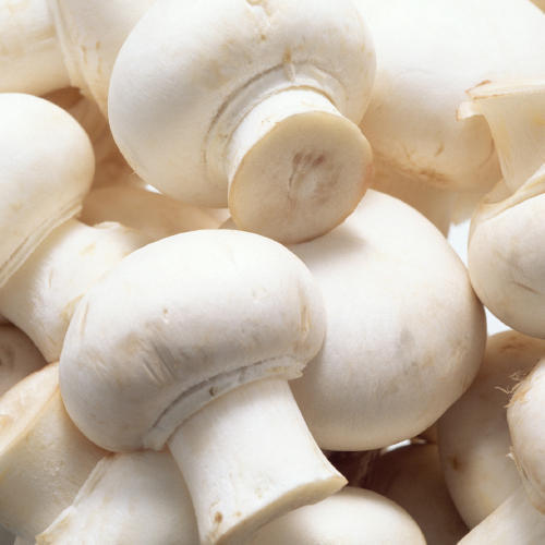 Mushroom Vegetable Seeds - Plant Nutritious White Mushrooms For A Bountiful Harvest