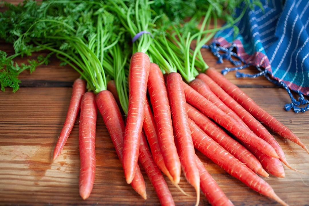 Fresh Red Carrot seeds for home planting