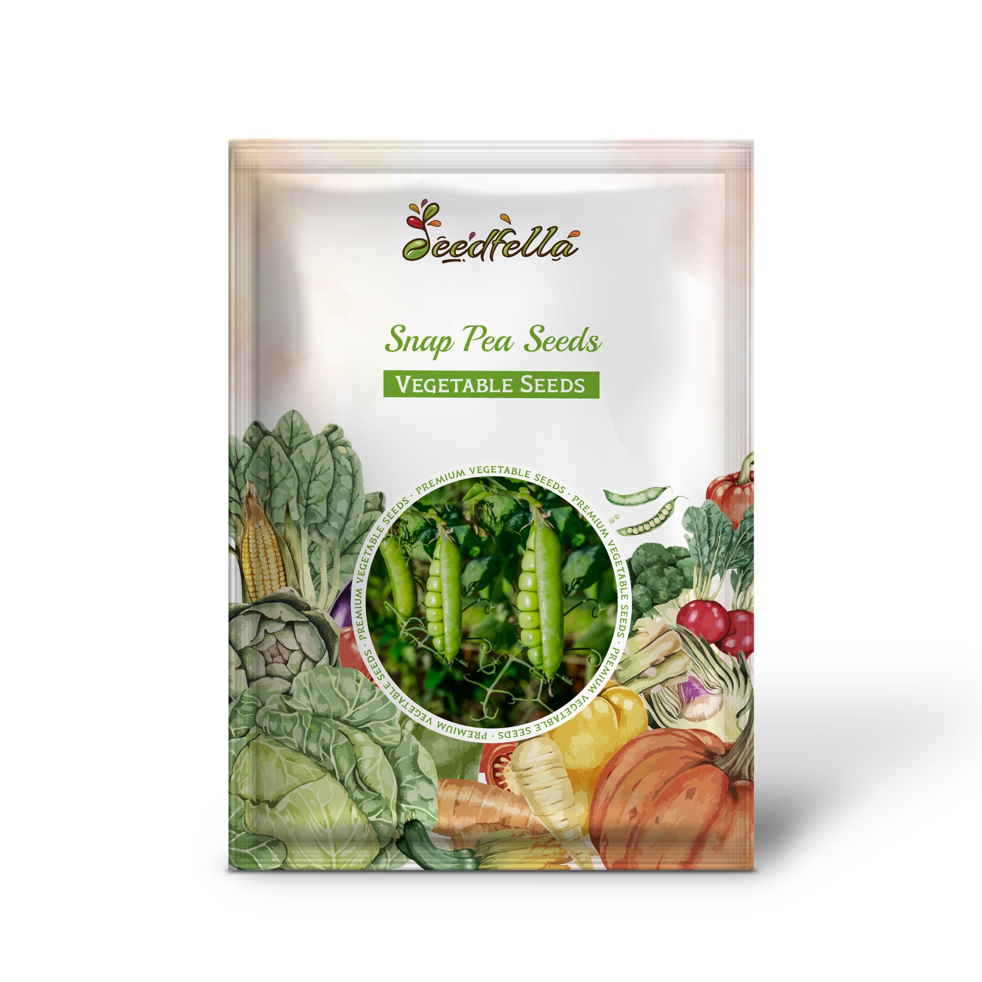 Snap pea seedlings emerging in cool-season soil