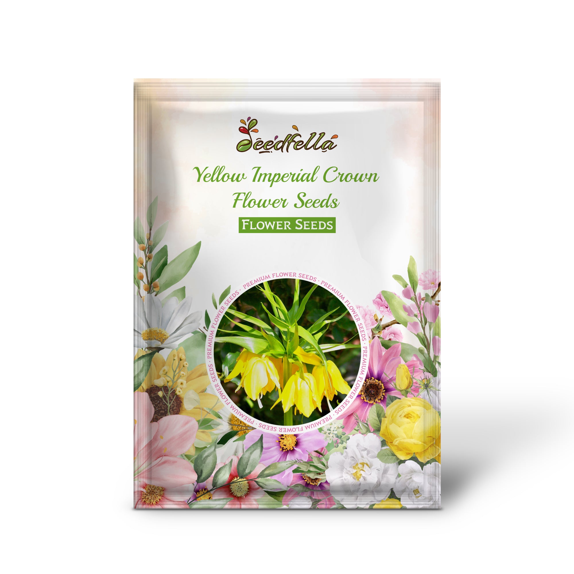 Fritillaria imperialis Yellow Seeds for garden planting