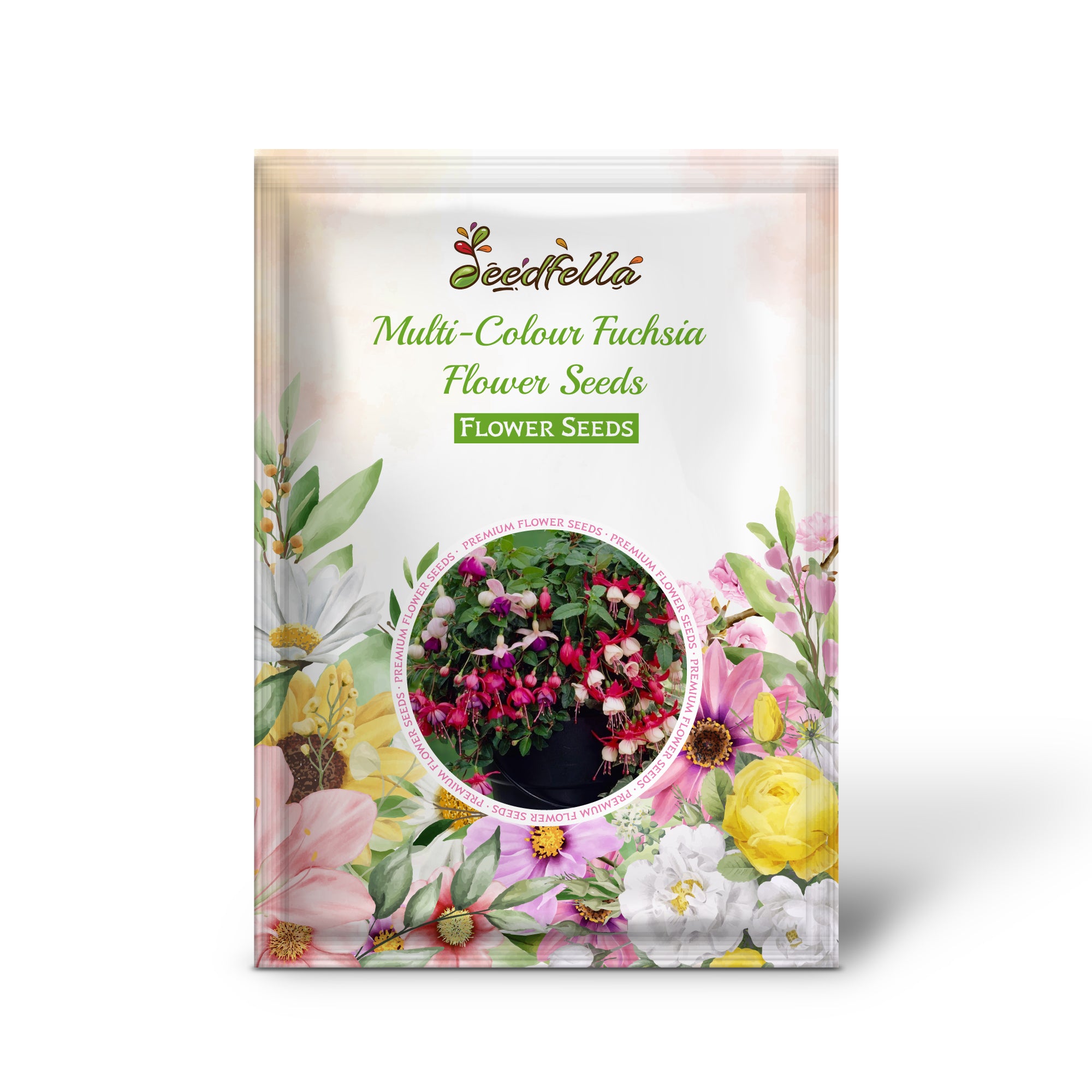 Multi-Colour Fuchsia Blooms in Hanging Basket