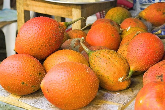 Gac Fruit Seeds Momordica cochinchinensis tropical vine variety