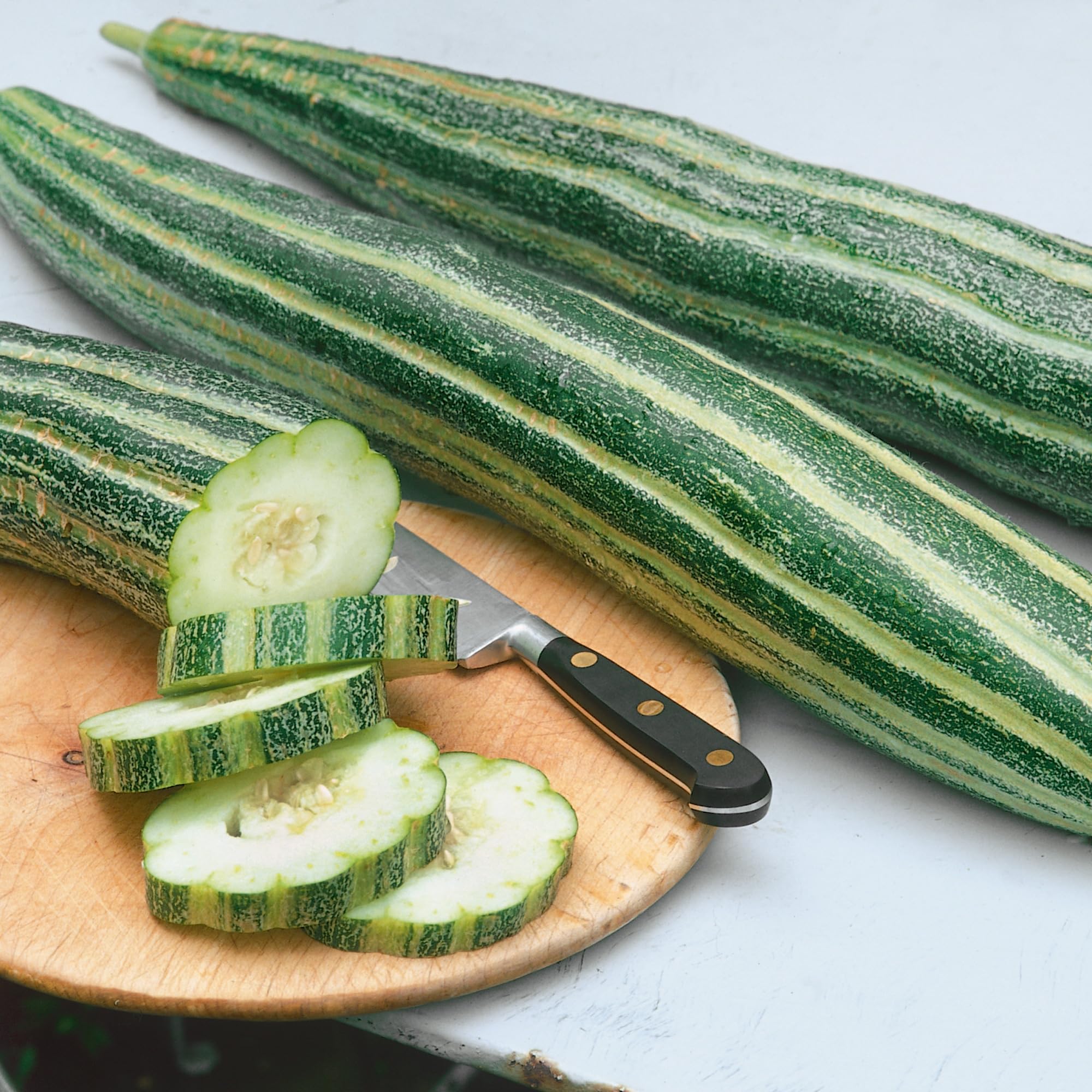 Striped Armenian Cucumber plants in garden