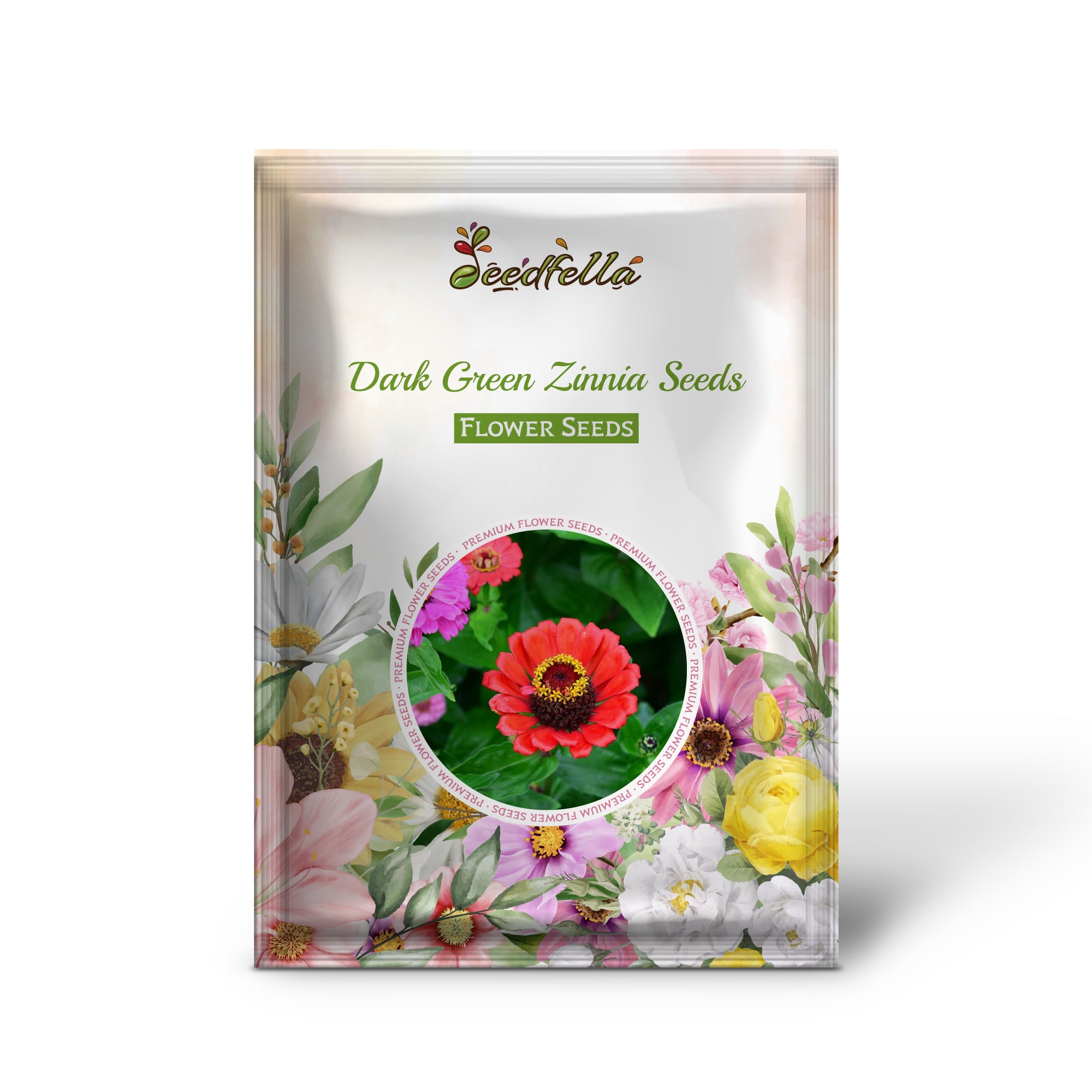 Dark Green Zinnia Flowers in Garden Borders