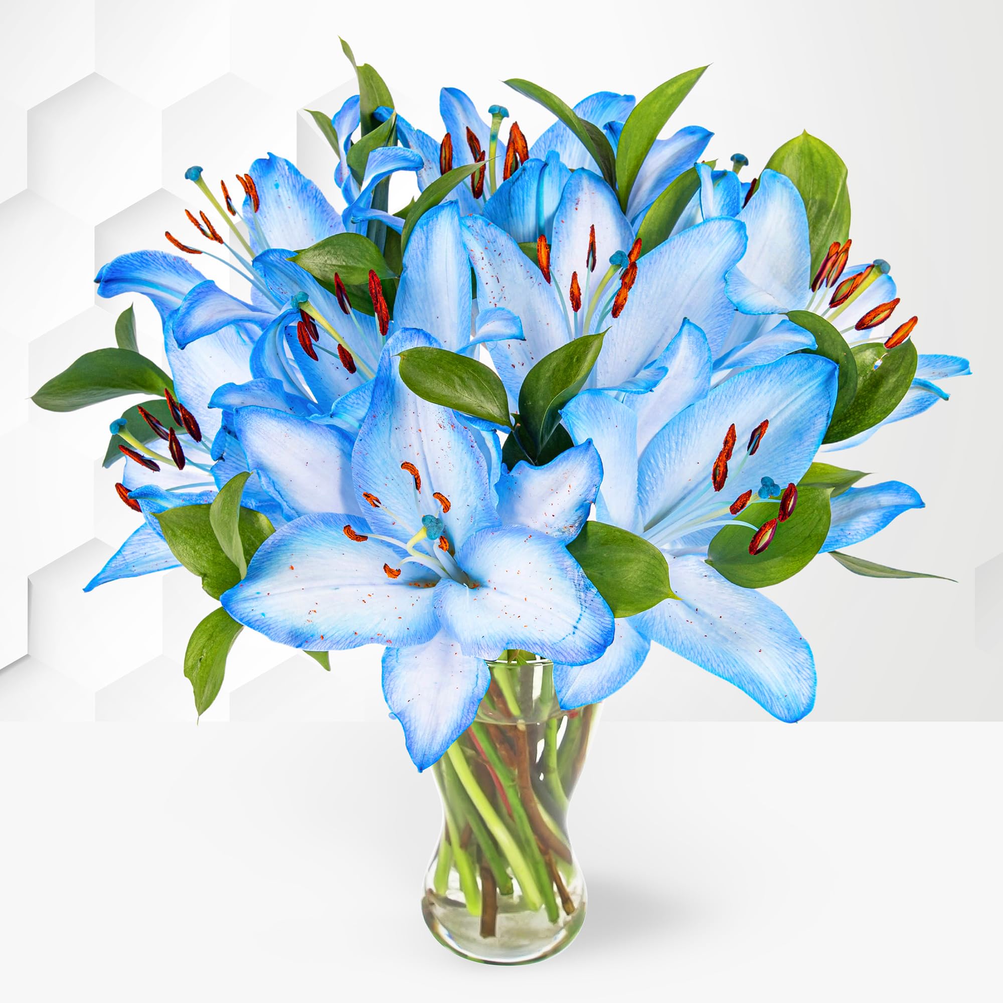 Garden Lilium Blue White Seeds