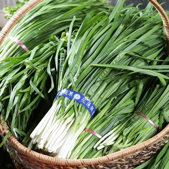 Garlic Chive herb seeds for home gardens